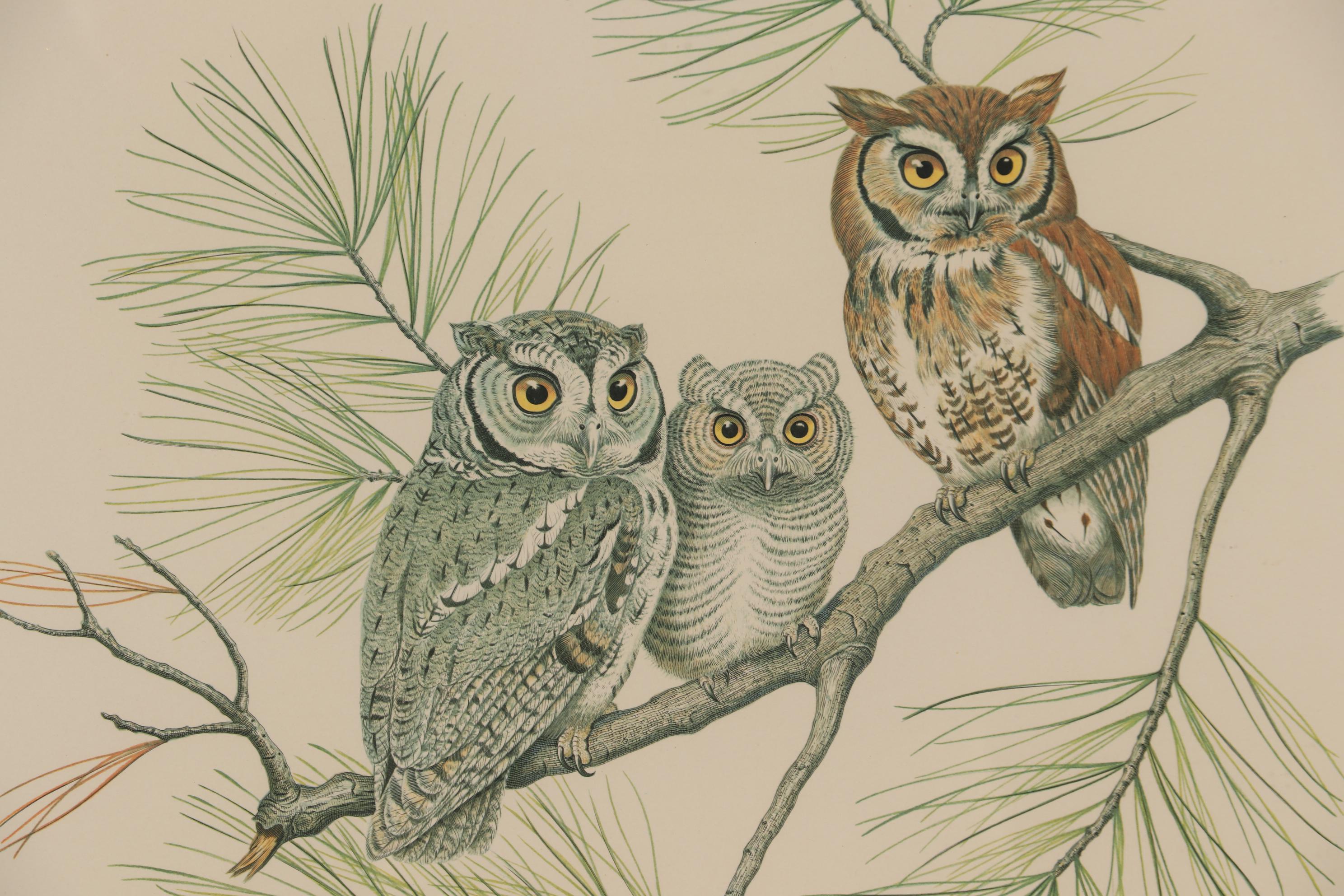 Albert Earl Gilbert 1976 Wildlife Mixed Media Prints