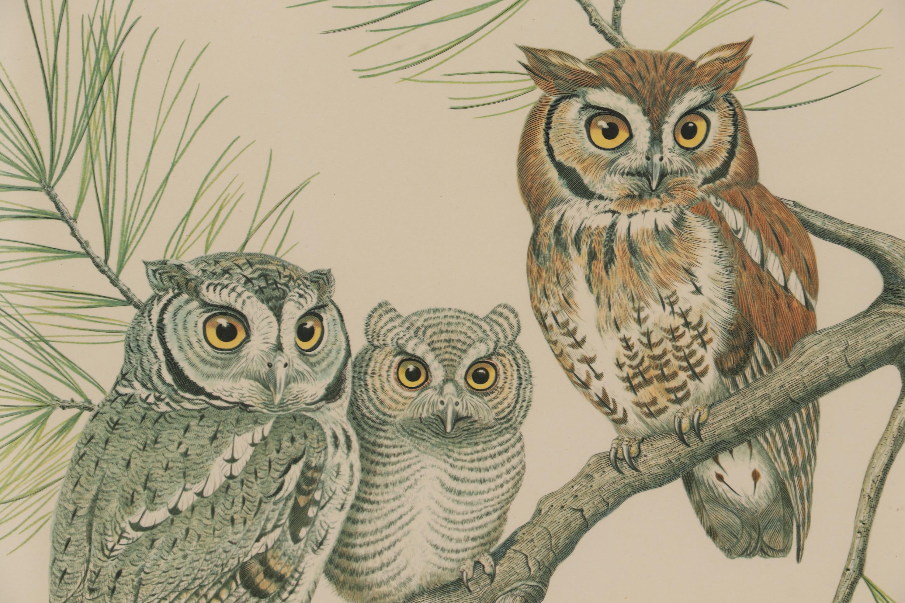 Albert Earl Gilbert 1976 Wildlife Mixed Media Prints