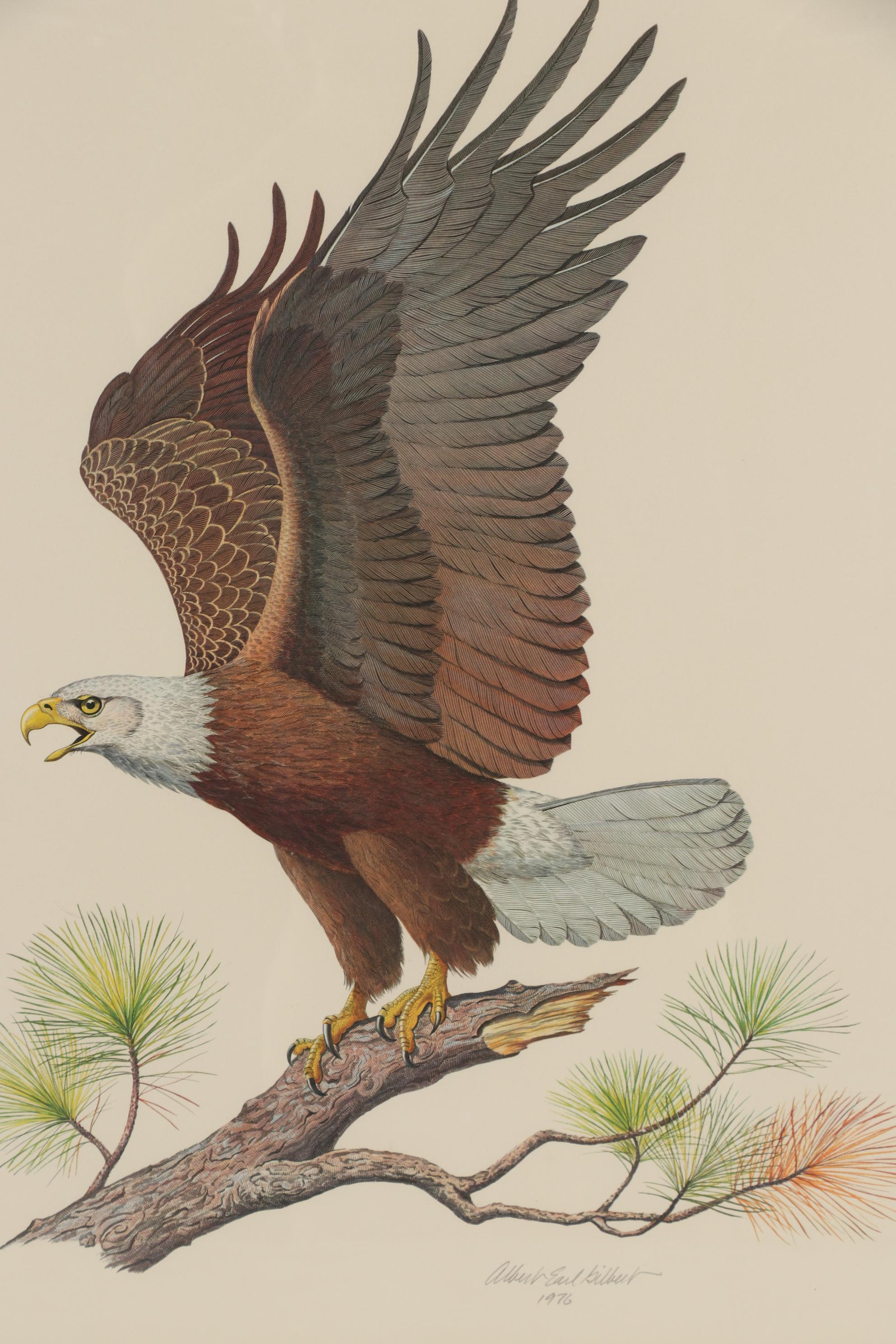 Albert Earl Gilbert 1976 Wildlife Mixed Media Prints