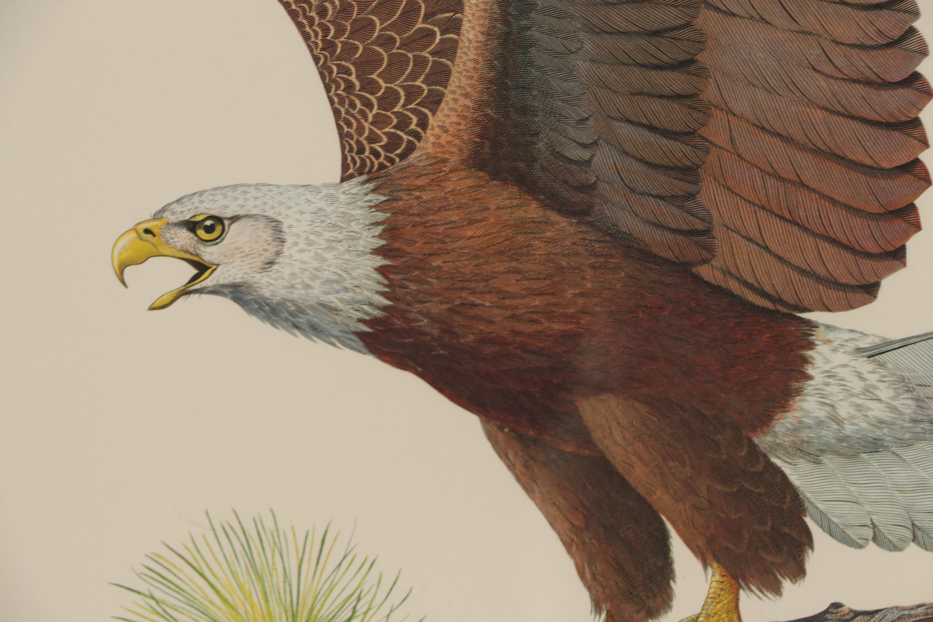 Albert Earl Gilbert 1976 Wildlife Mixed Media Prints