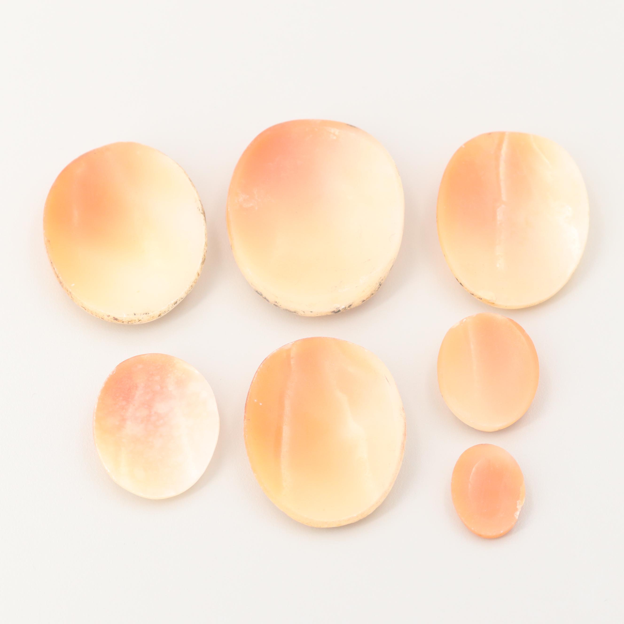 Loose Helmet Shell Cameo Selection Featuring the Three Graces