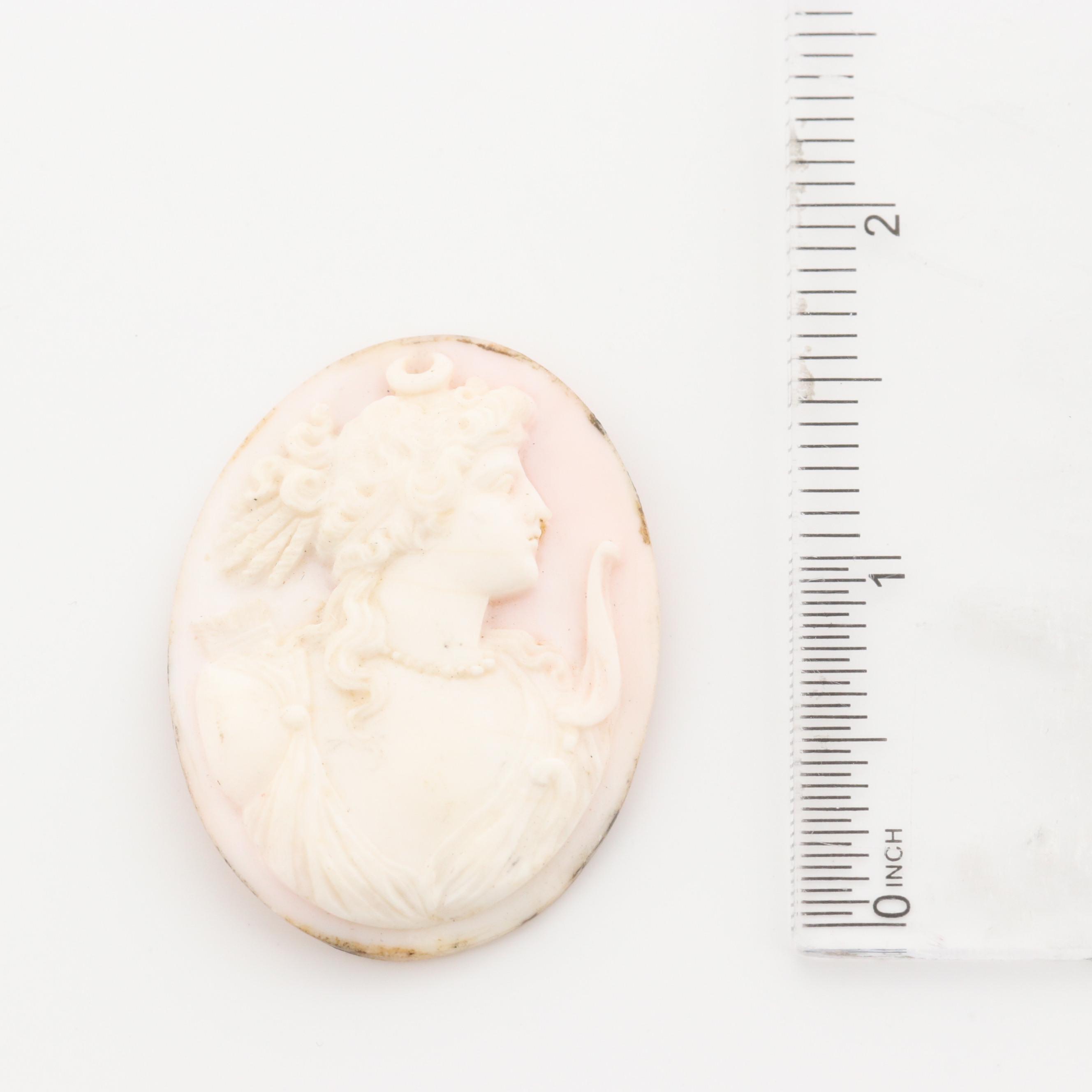 Loose Conch and Helmet Shell Cameos Featuring Greek Goddess Artemis