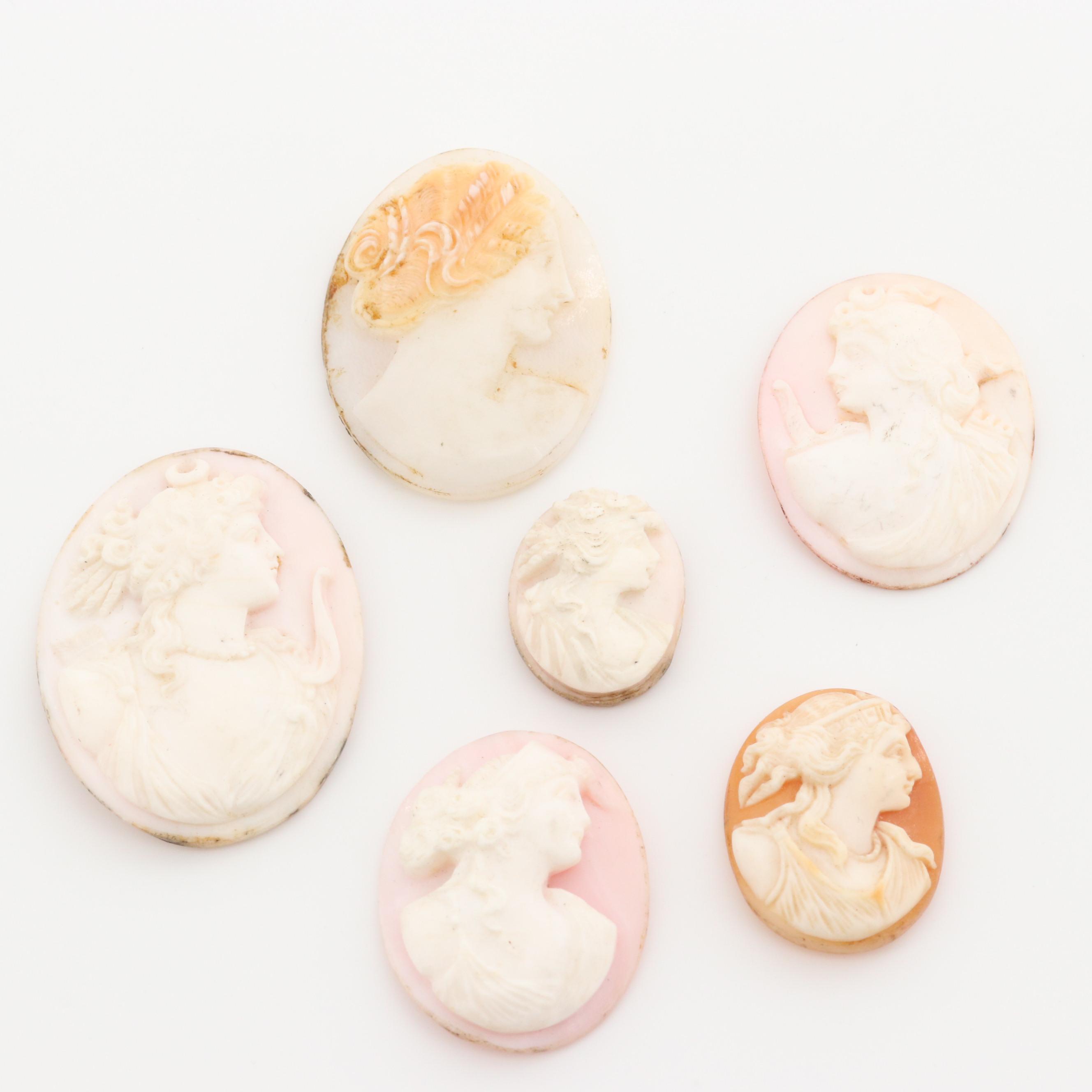 Loose Conch and Helmet Shell Cameos Featuring Greek Goddess Artemis