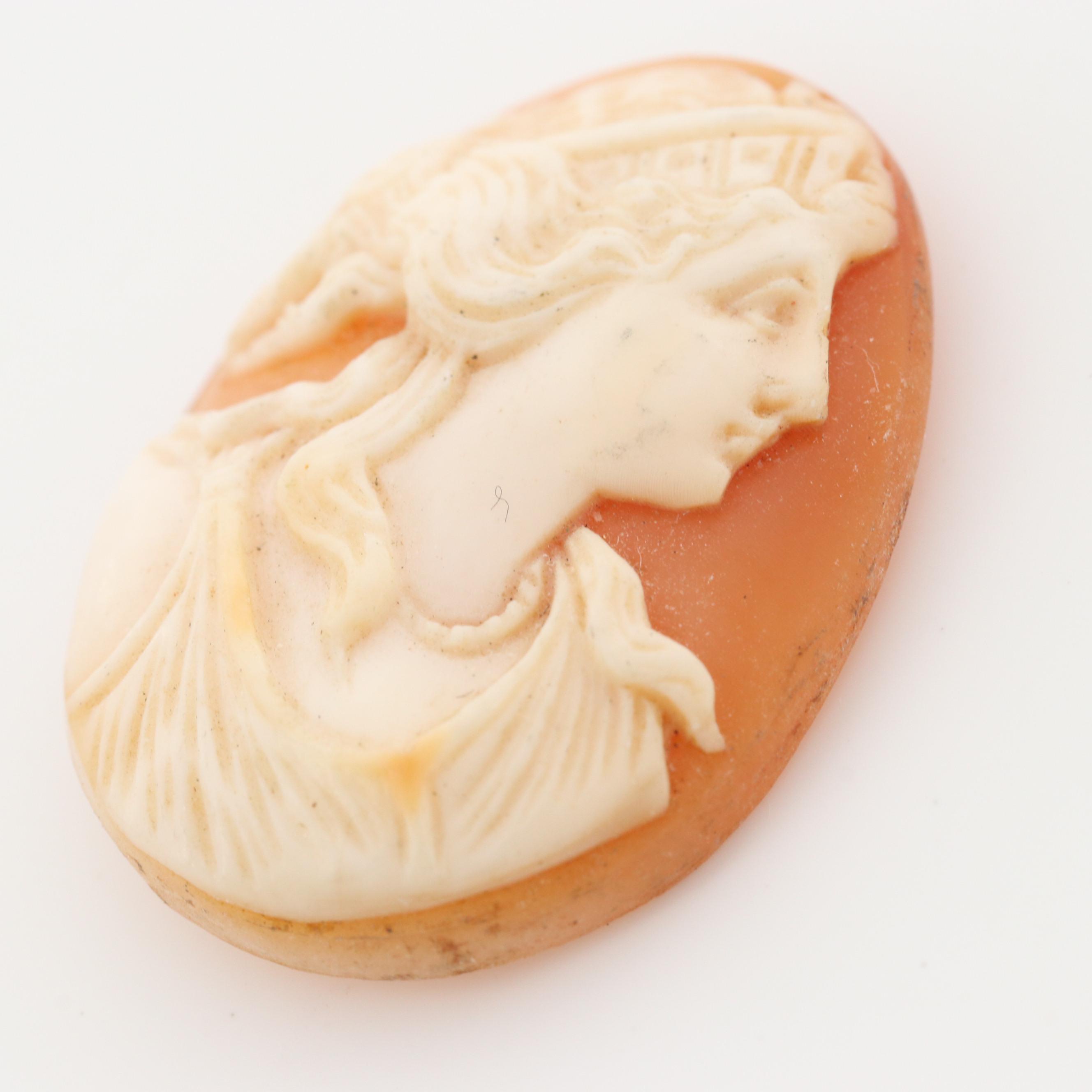 Loose Conch and Helmet Shell Cameos Featuring Greek Goddess Artemis