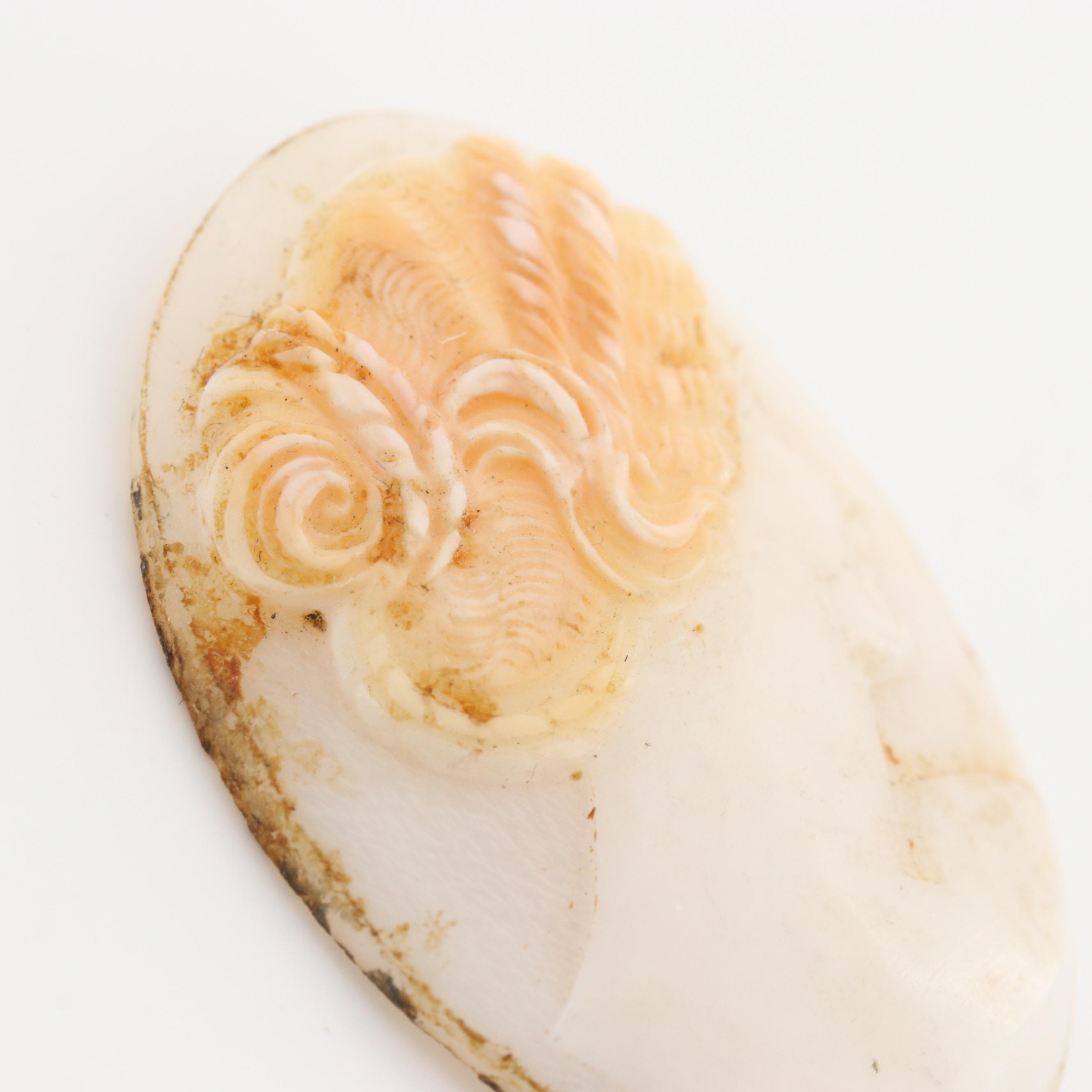 Loose Conch and Helmet Shell Cameos Featuring Greek Goddess Artemis