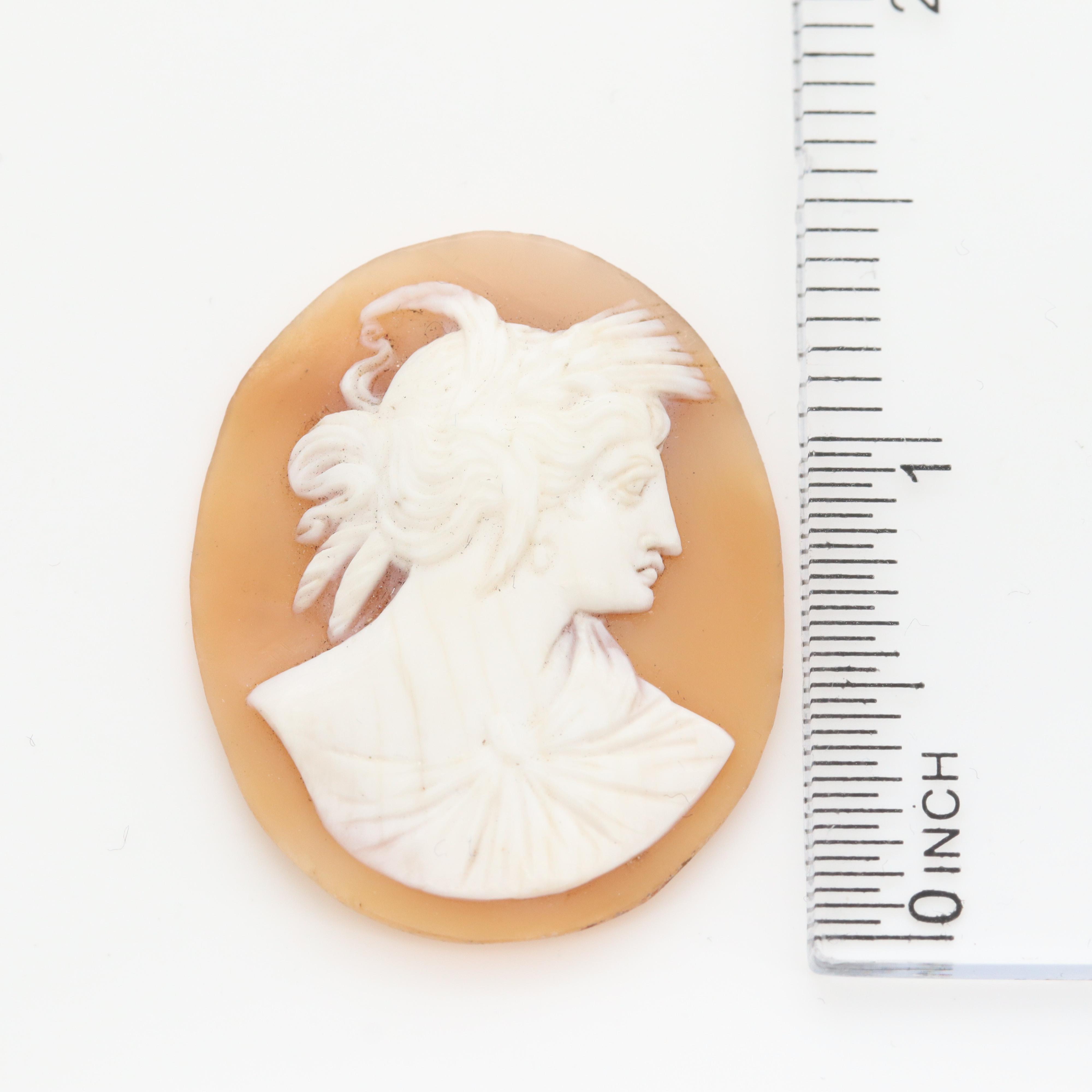 Loose Helmet and Conch Shell Cameo Collection Featuring Depictions of Artemis