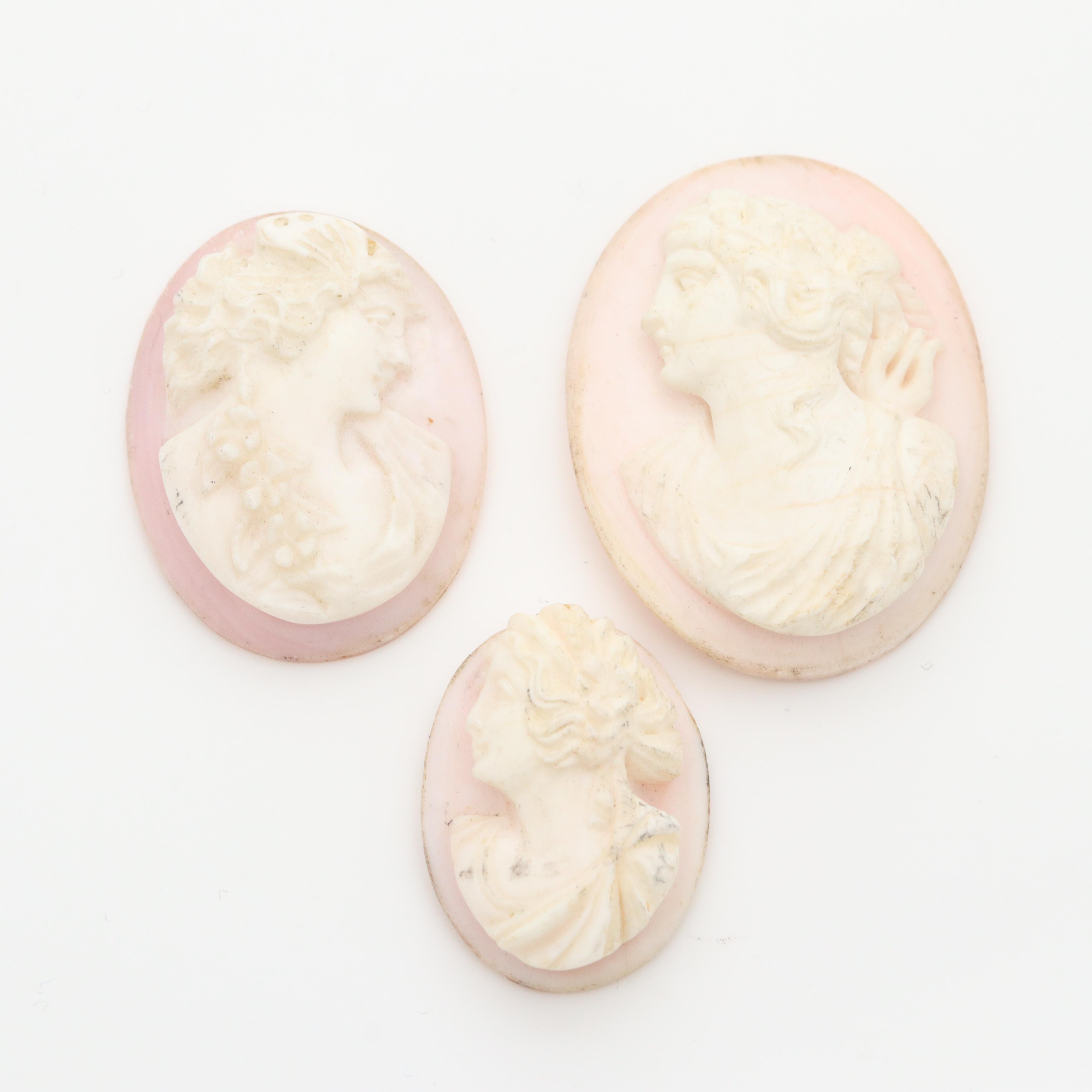 Loose Helmet and Conch Shell Cameo Collection Featuring Depictions of Artemis
