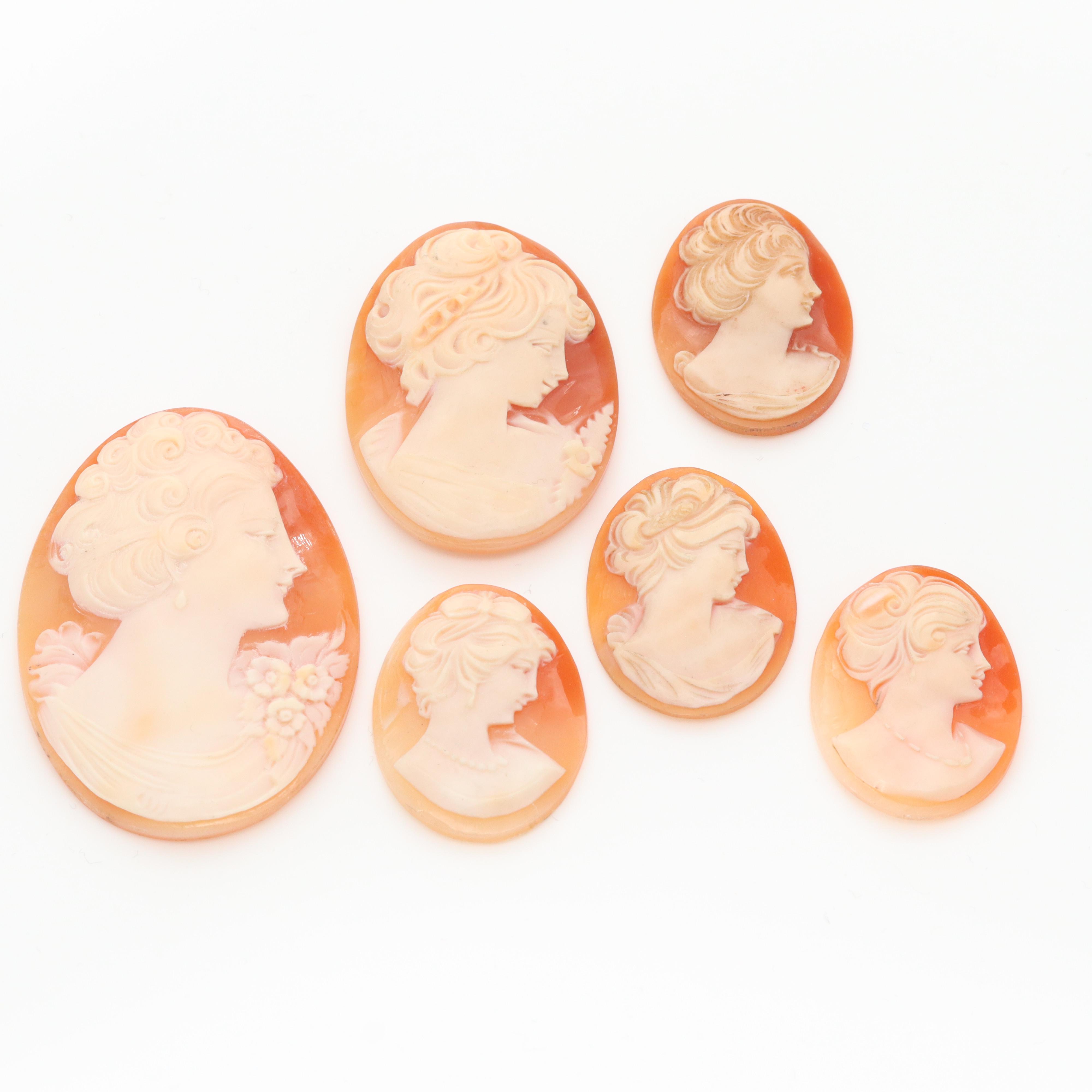 Loose Helmet Shell Cameo Collection