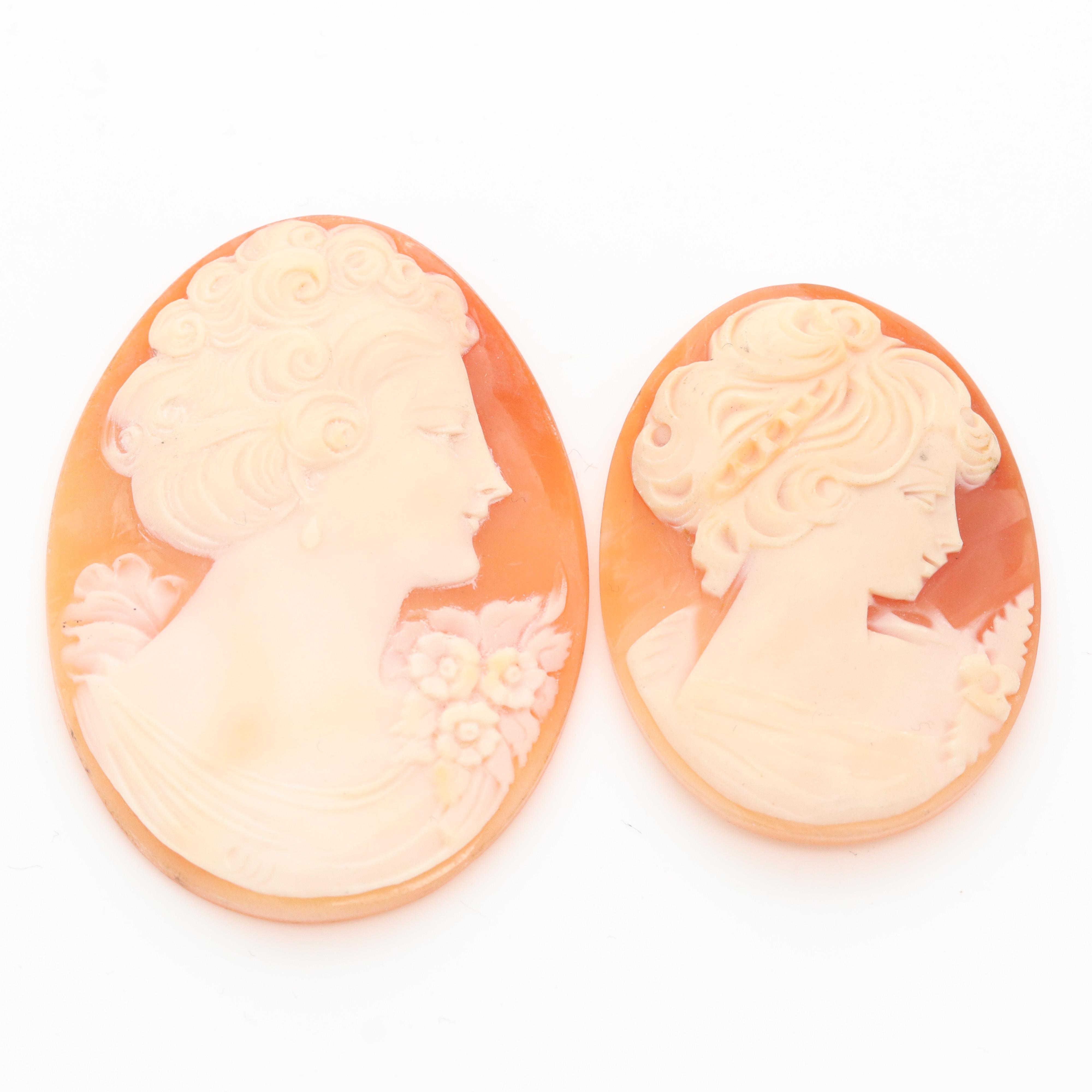 Loose Helmet Shell Cameo Collection