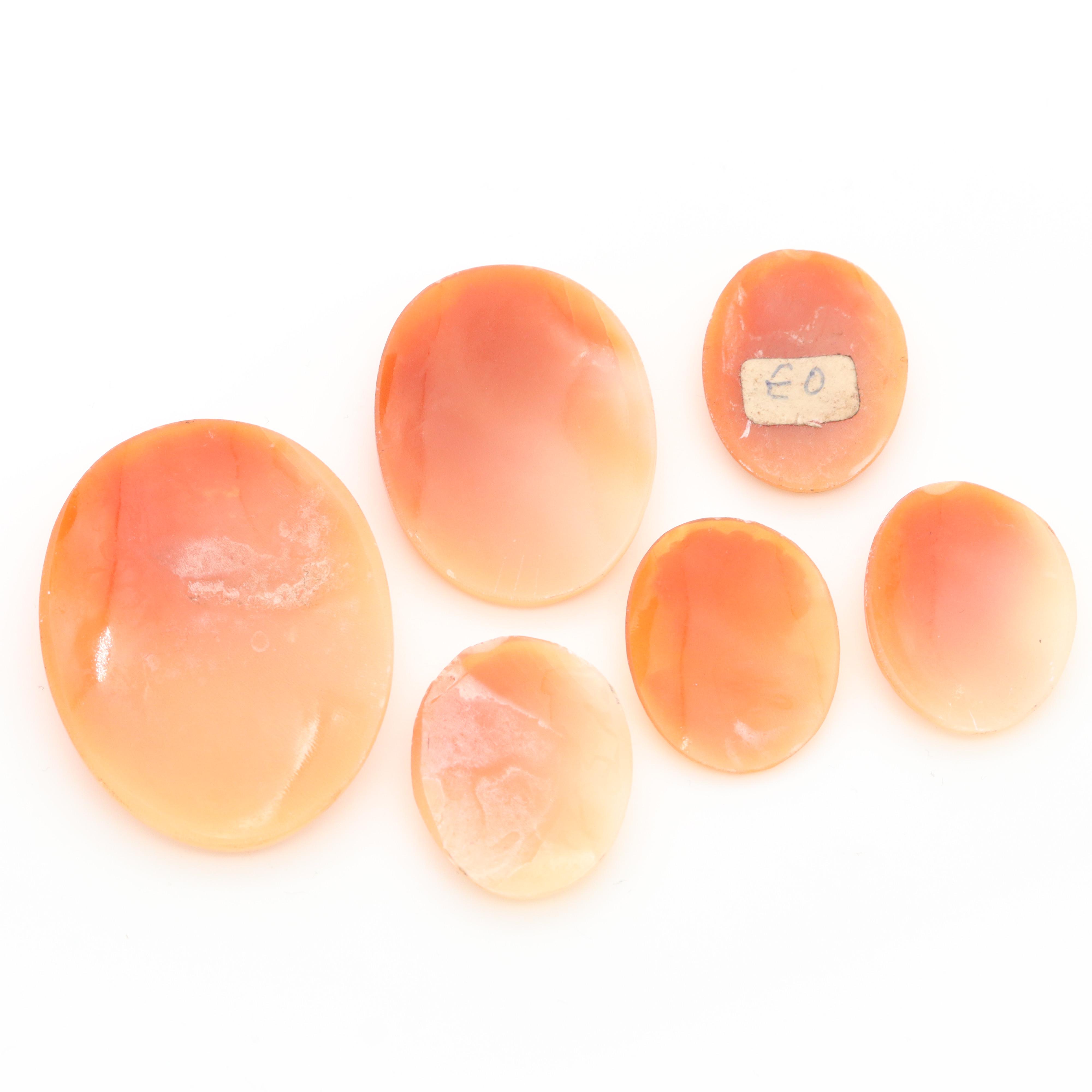 Loose Helmet Shell Cameo Collection