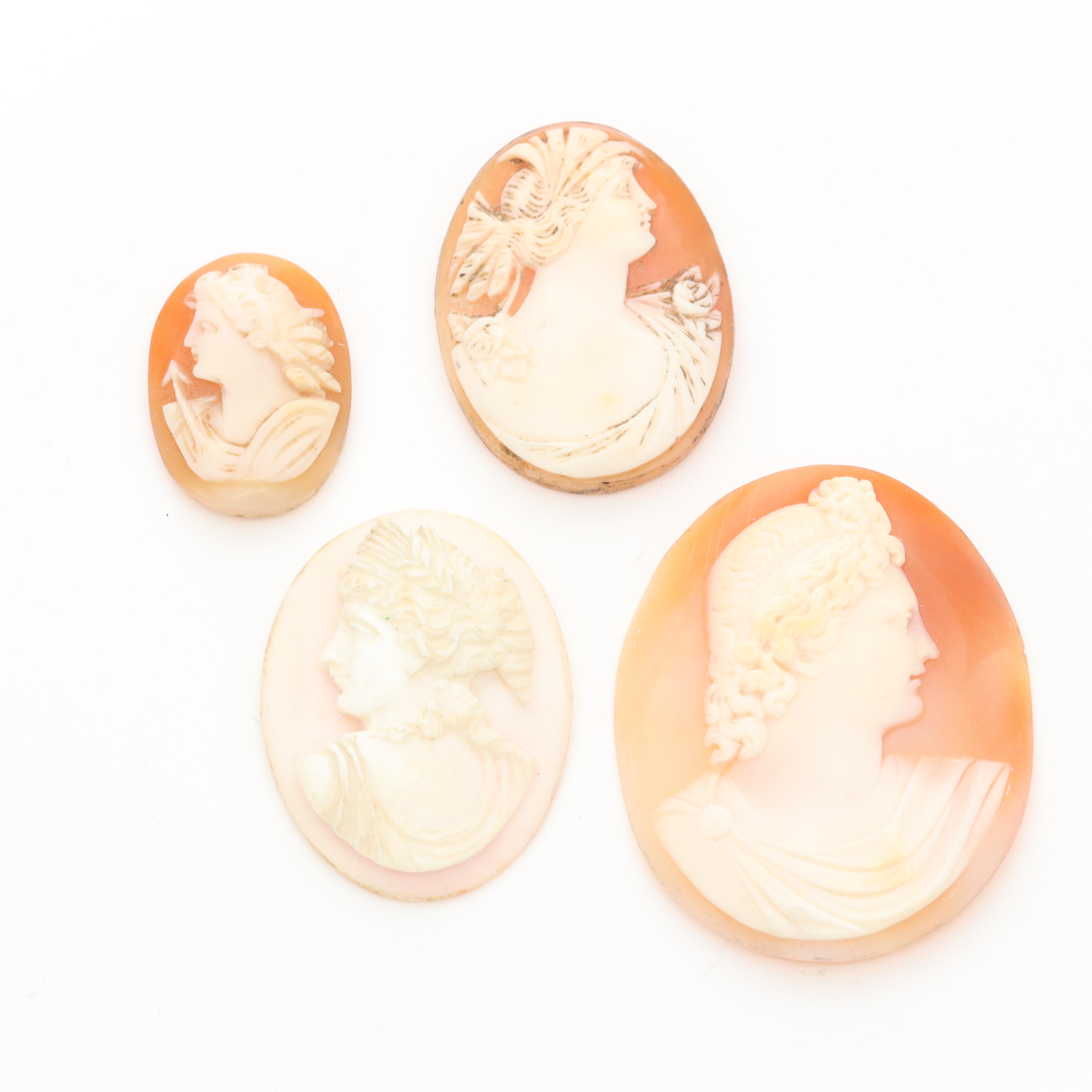 Loose Helmet and Conch Shell Carved Cameo Selection