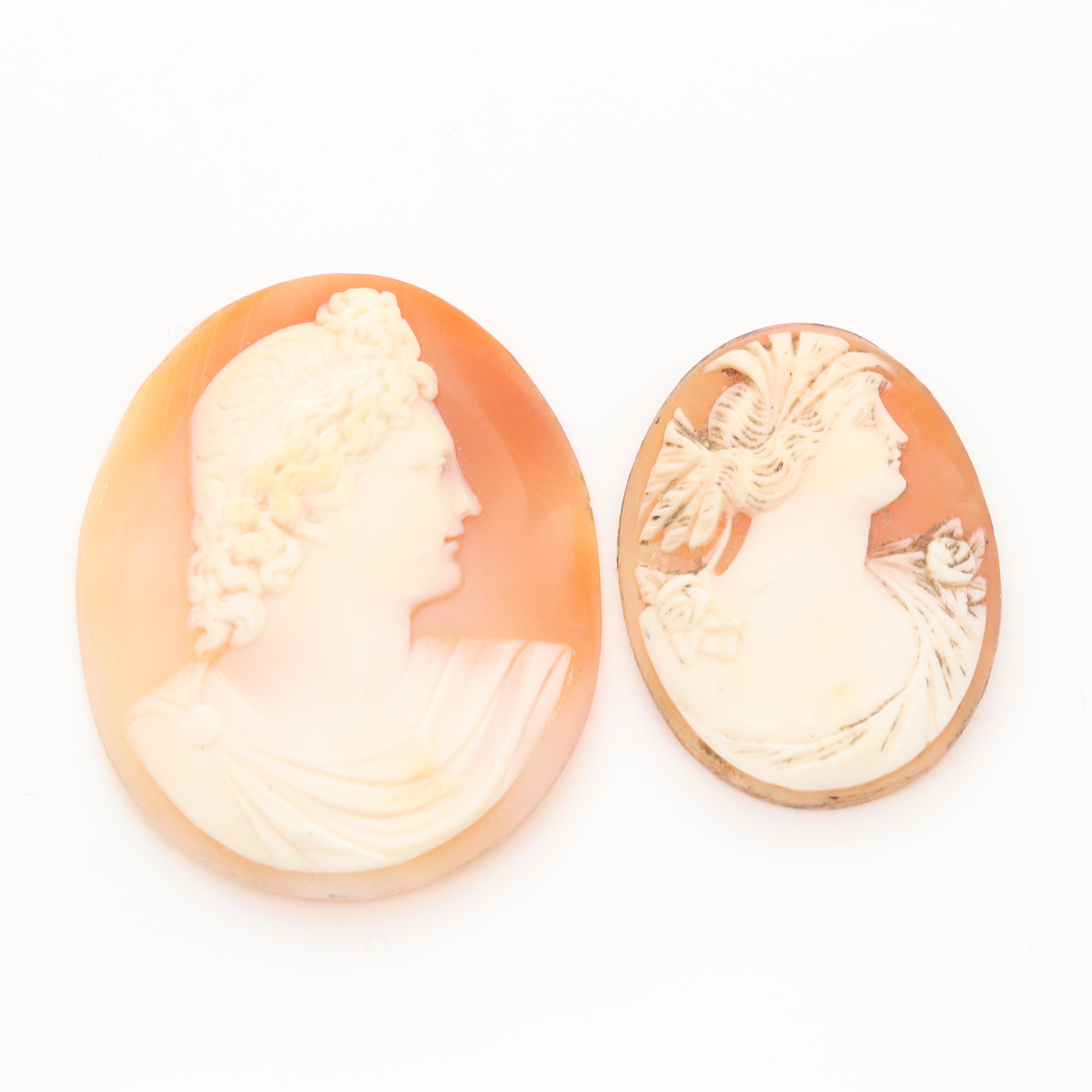Loose Helmet and Conch Shell Carved Cameo Selection