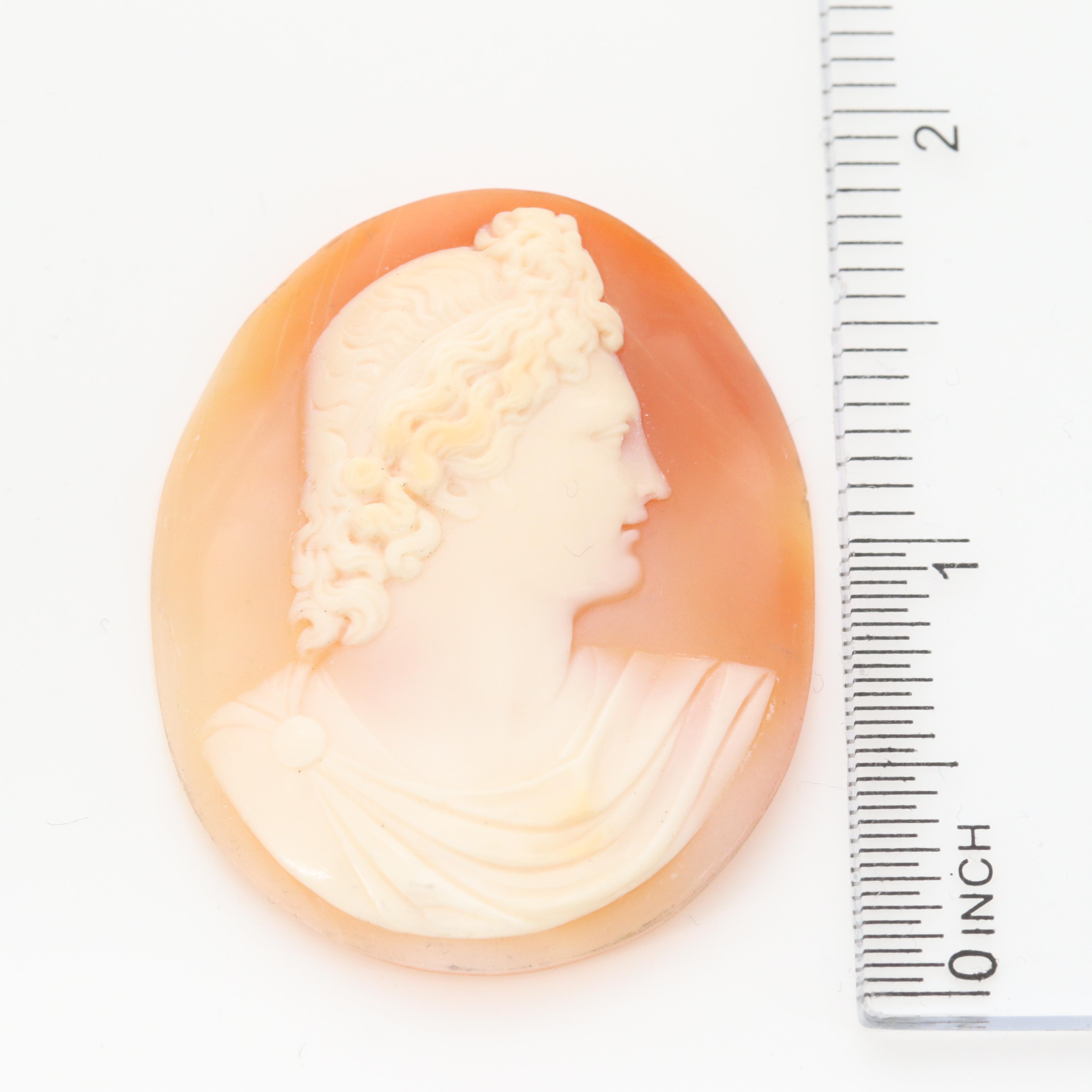 Loose Helmet and Conch Shell Carved Cameo Selection