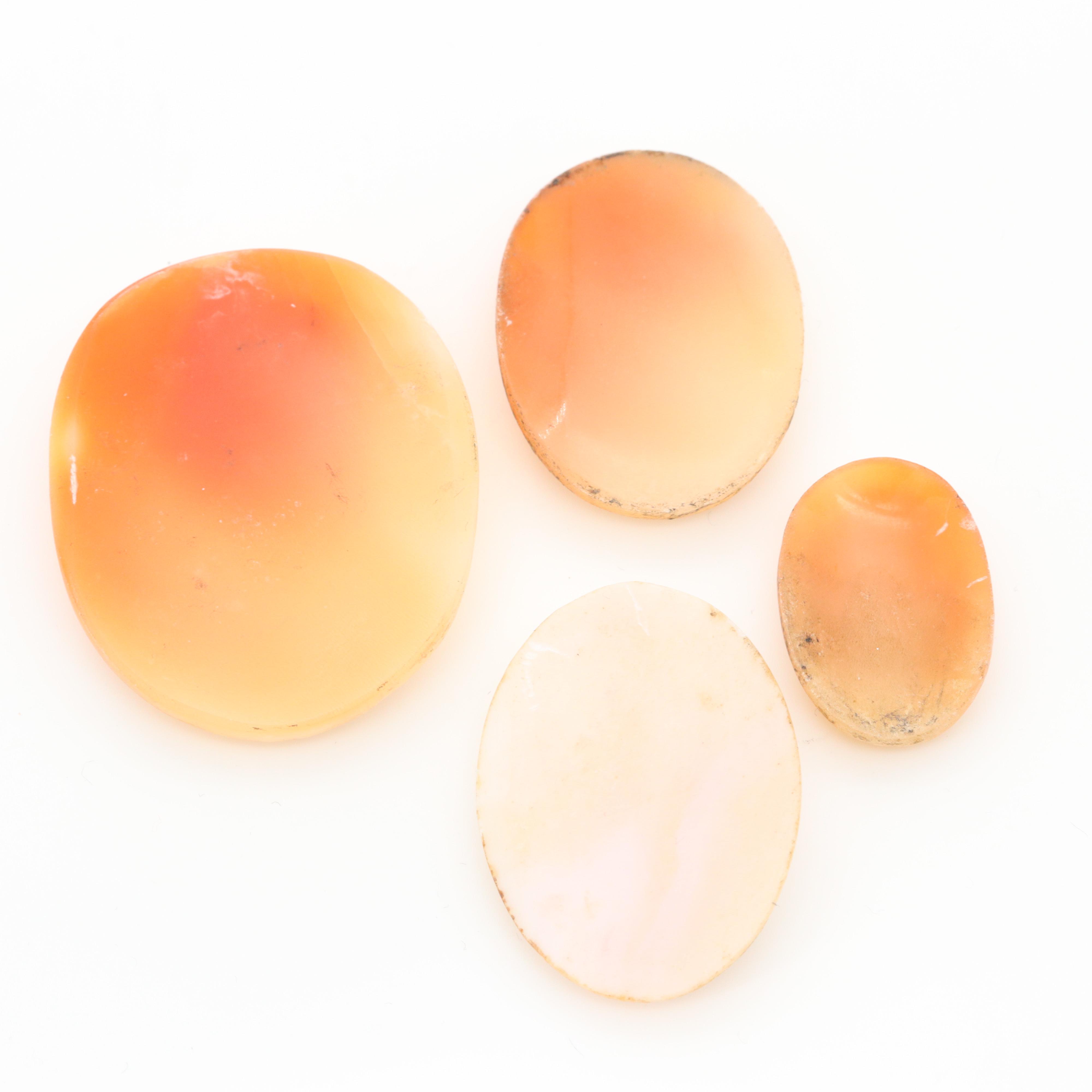 Loose Helmet and Conch Shell Carved Cameo Selection