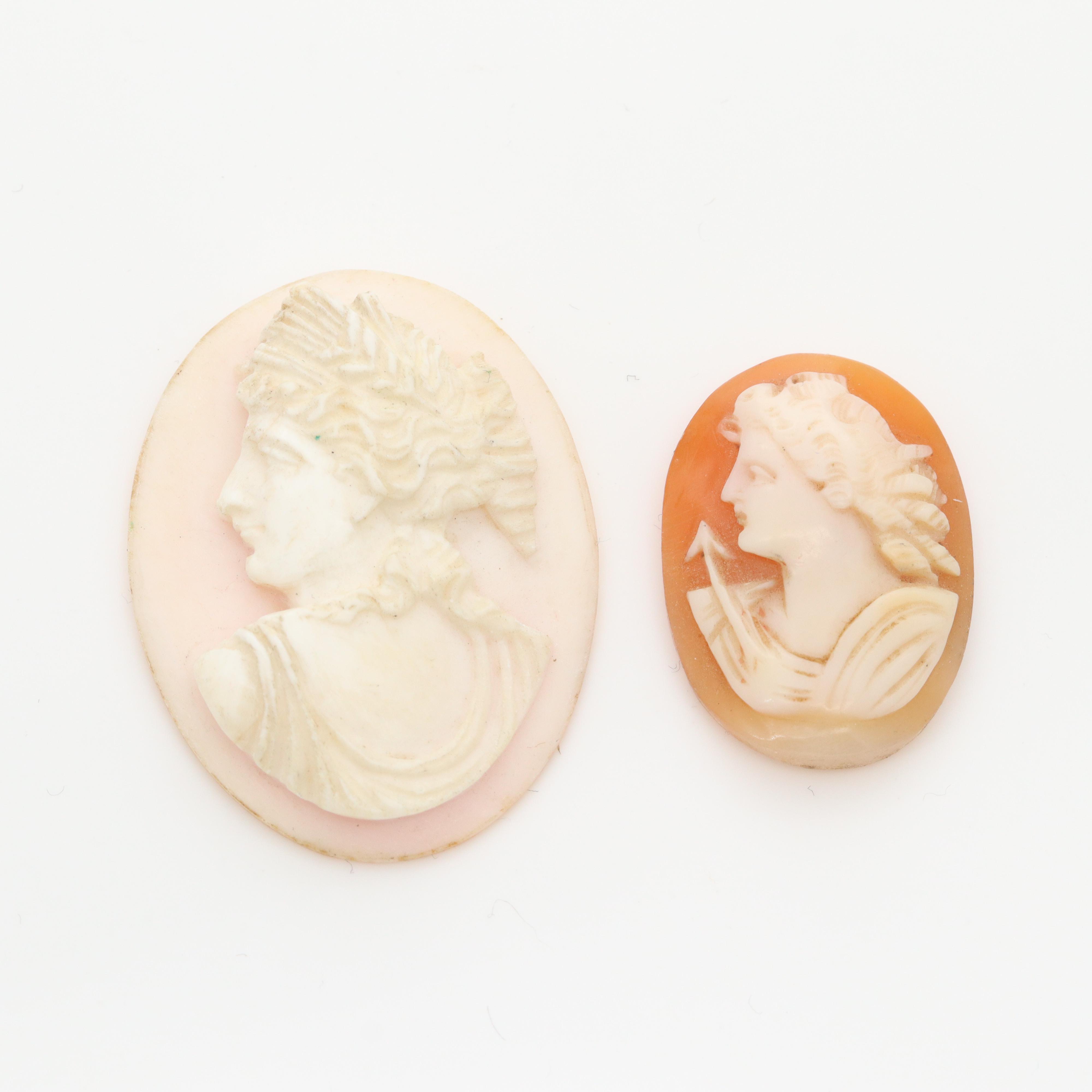 Loose Helmet and Conch Shell Carved Cameo Selection