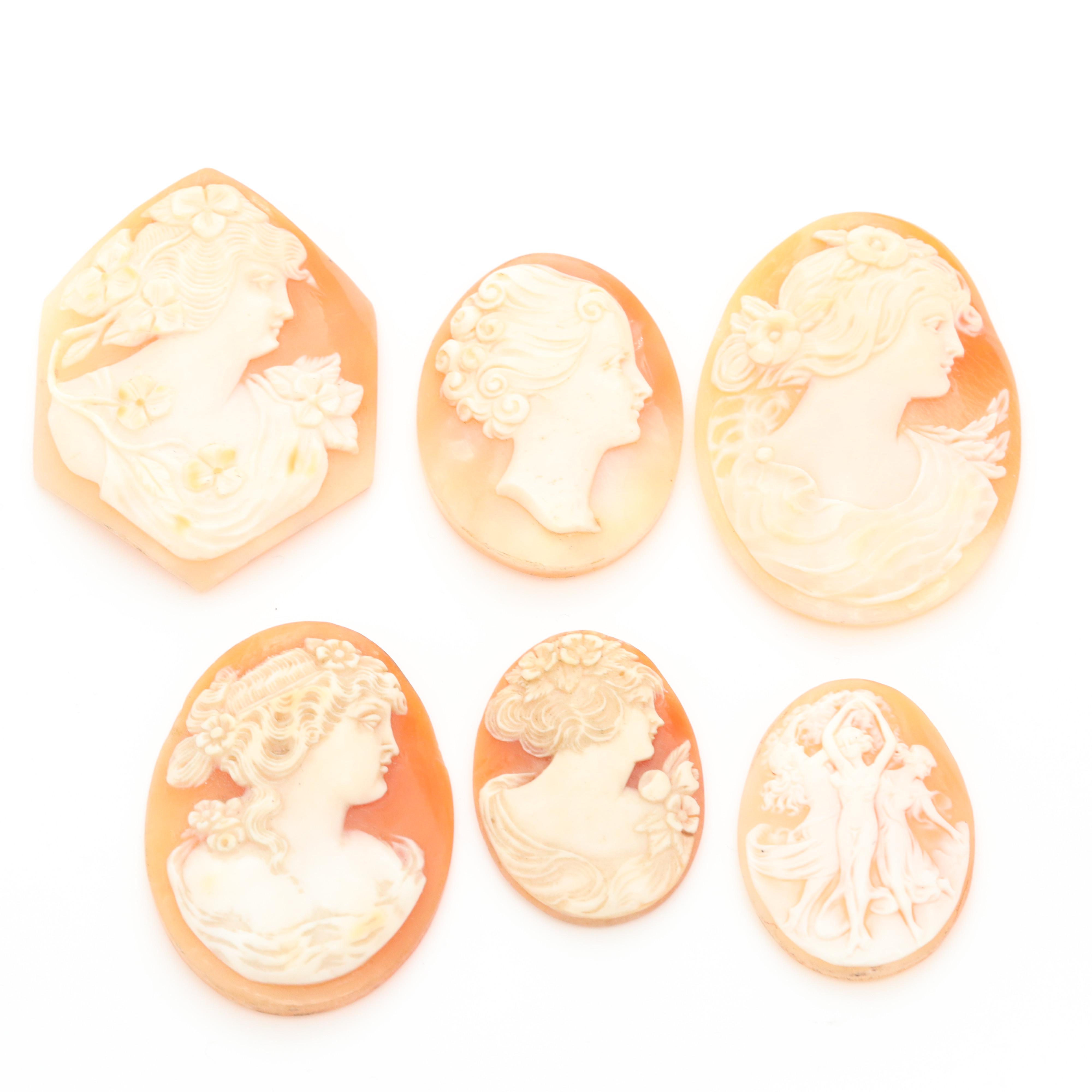 Loose Helmet Shell Cameo Assortment Featuring the Three Graces