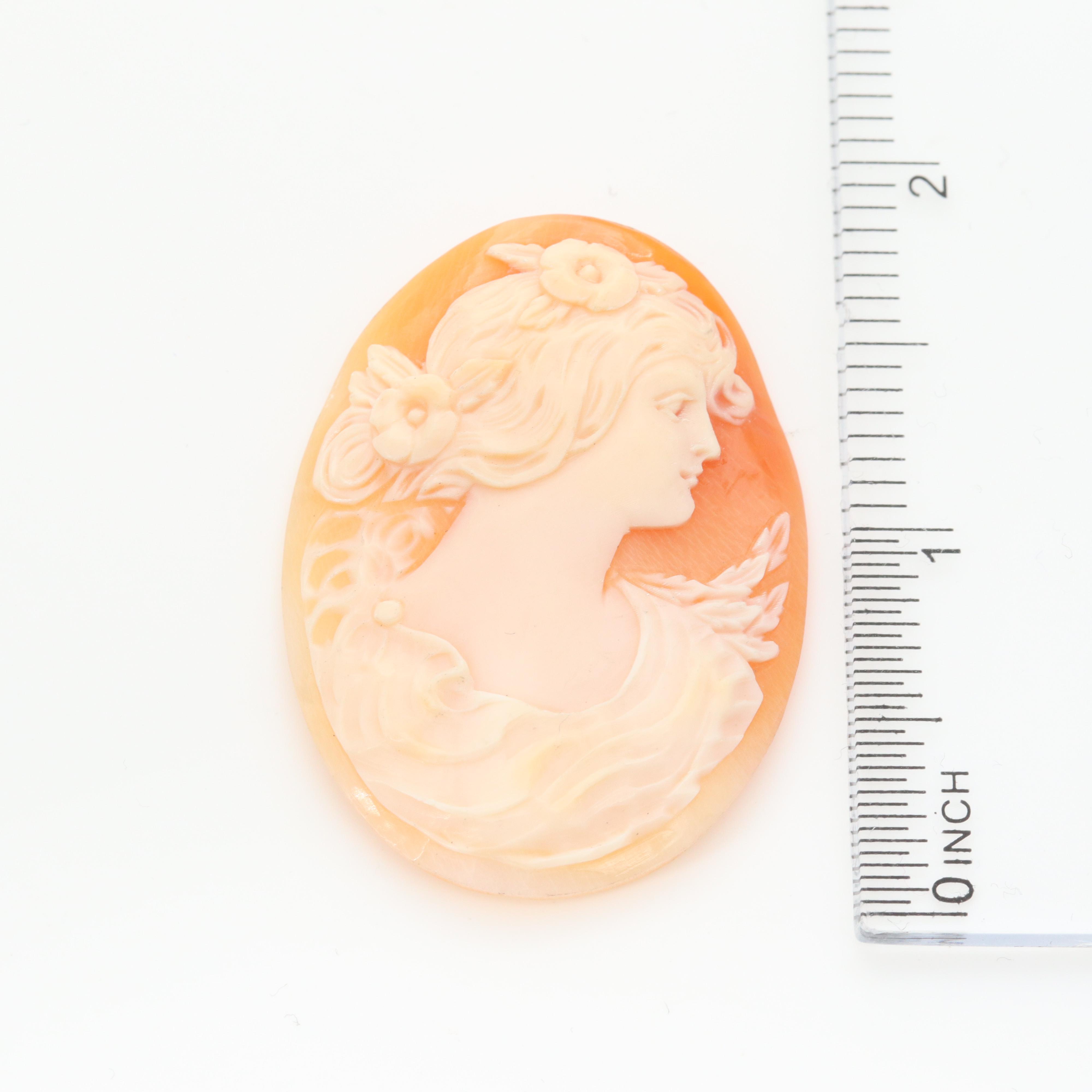 Loose Helmet Shell Cameo Assortment Featuring the Three Graces