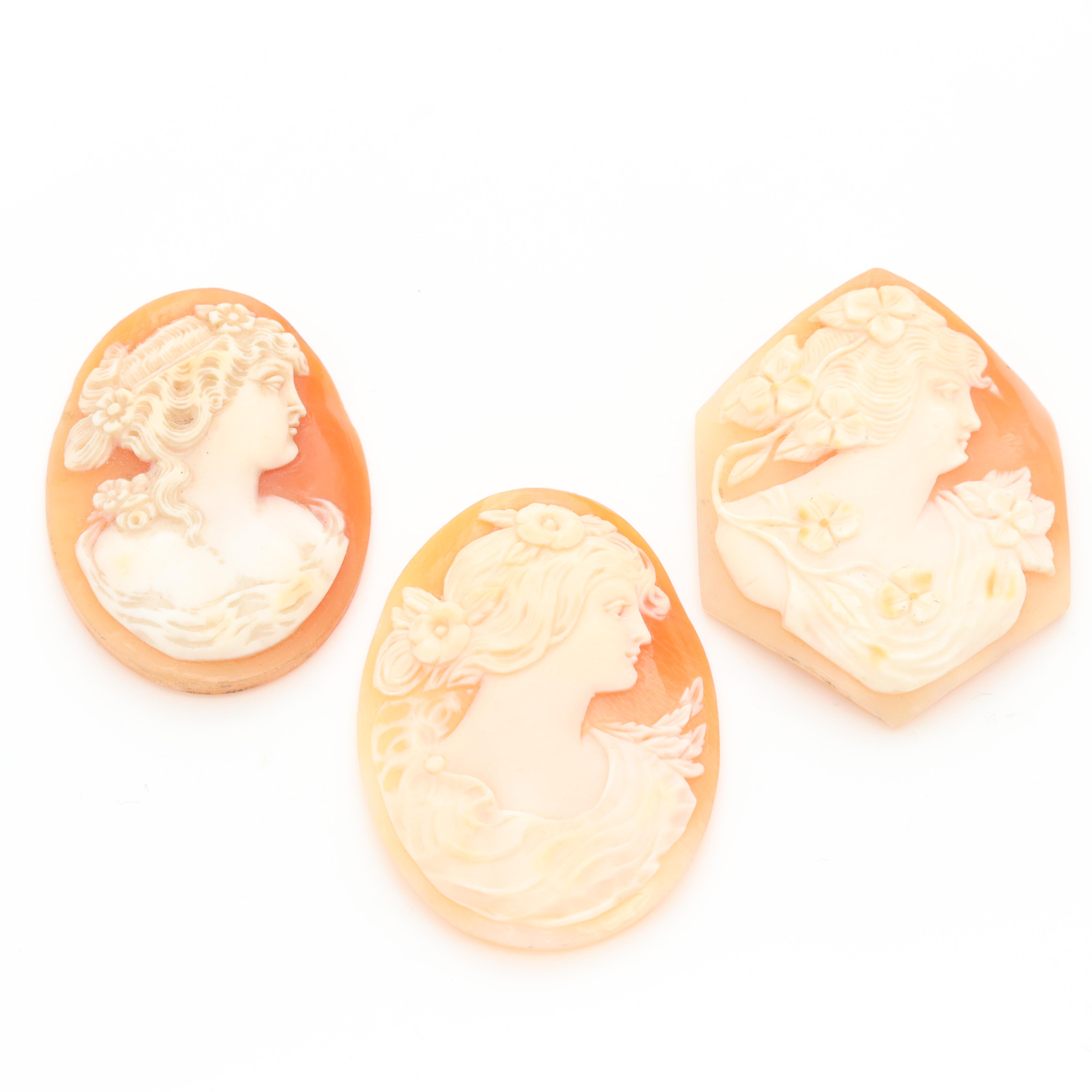 Loose Helmet Shell Cameo Assortment Featuring the Three Graces