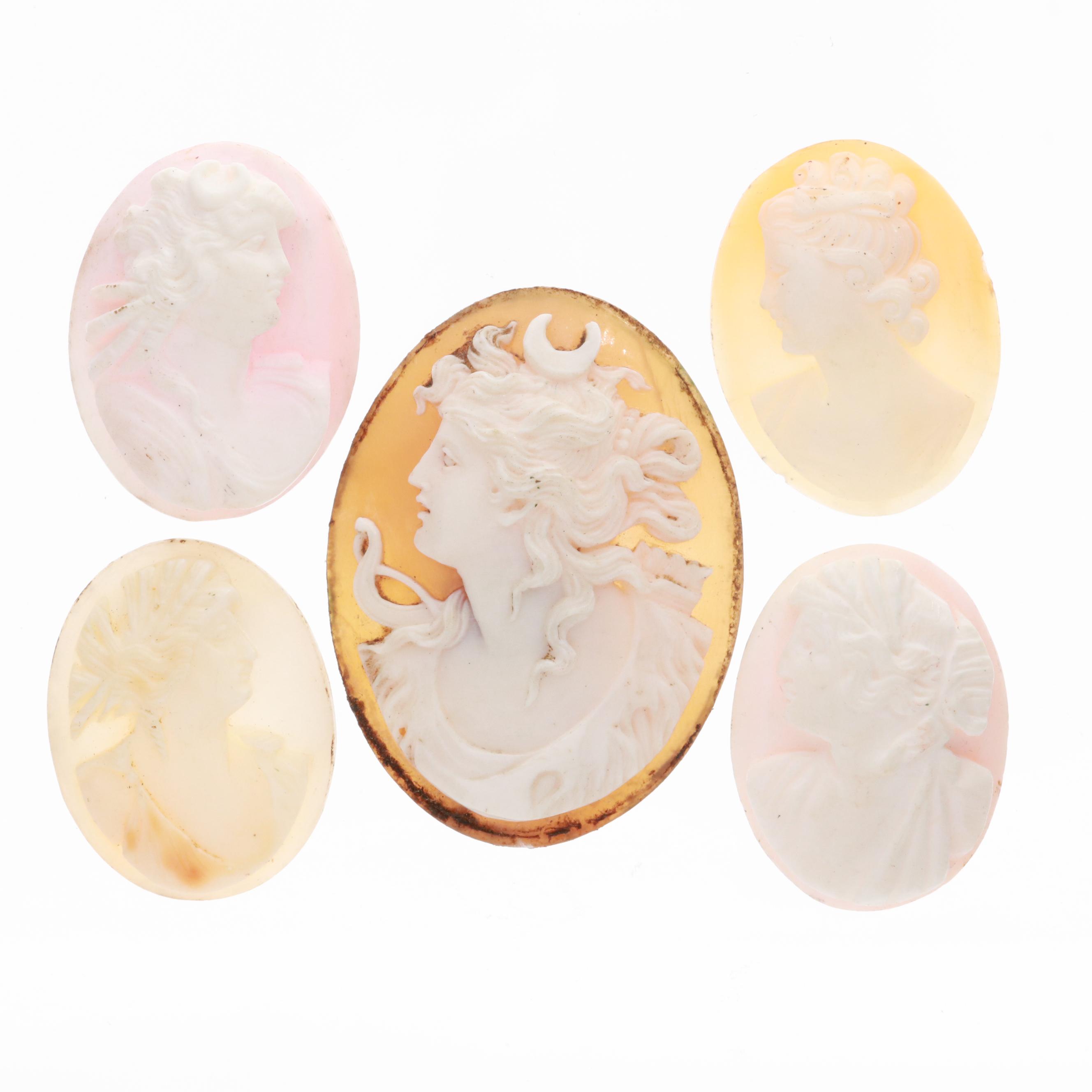 Loose Helmet Conch Shell Cameos