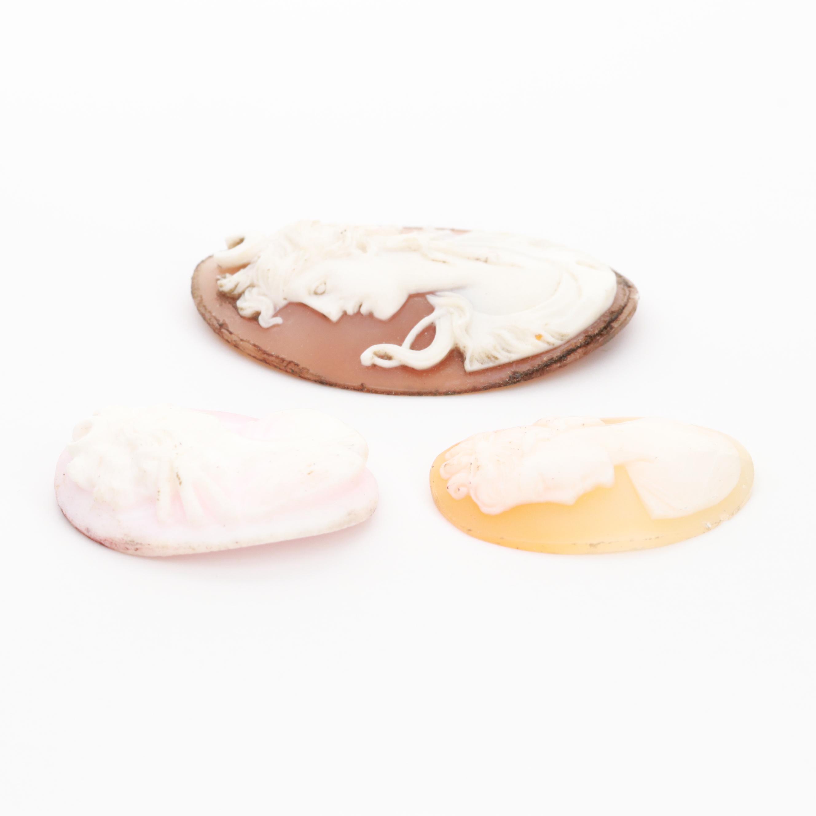 Loose Helmet Conch Shell Cameos