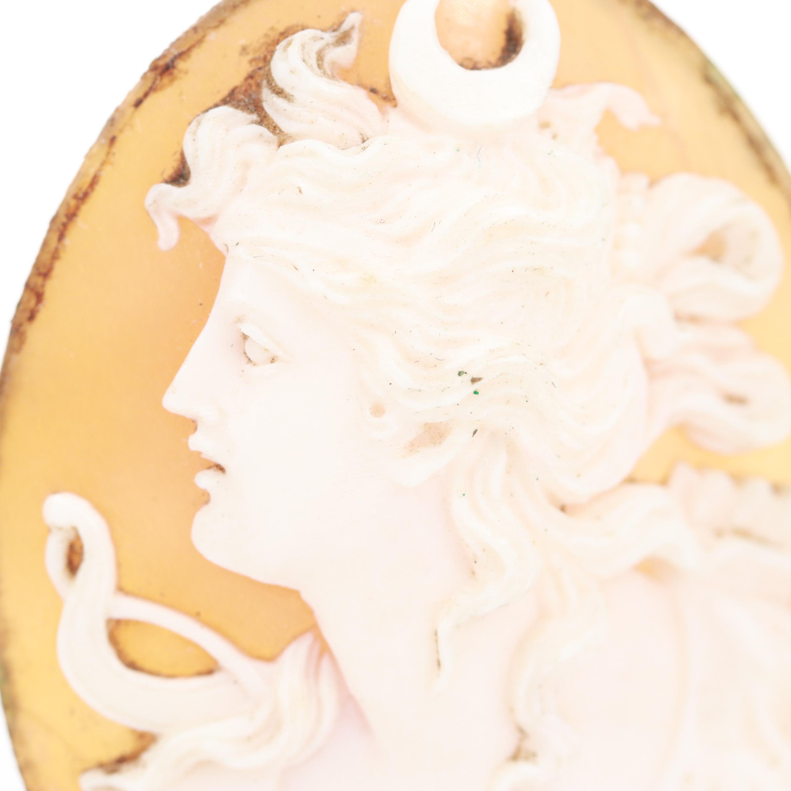 Loose Helmet Conch Shell Cameos