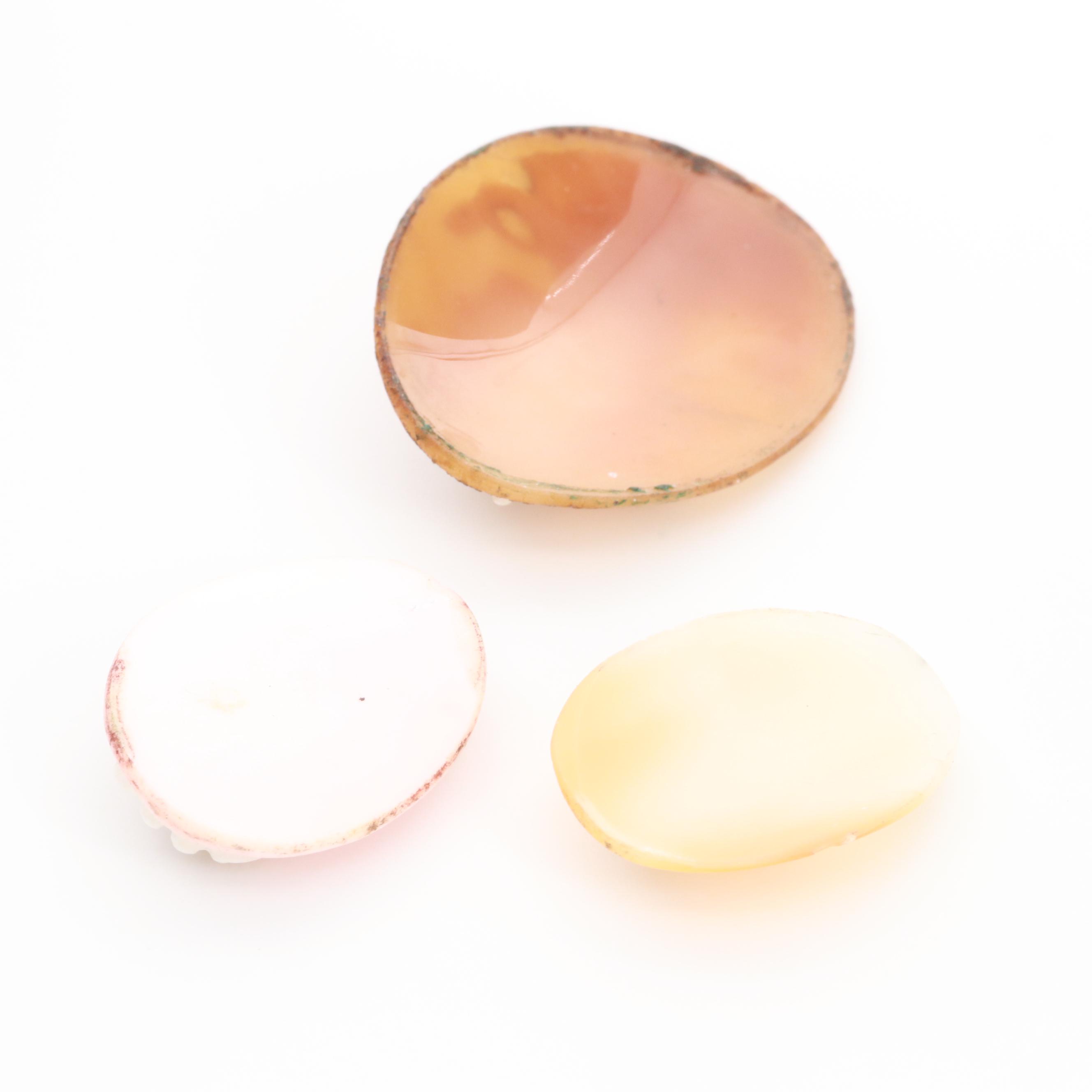 Loose Helmet Conch Shell Cameos