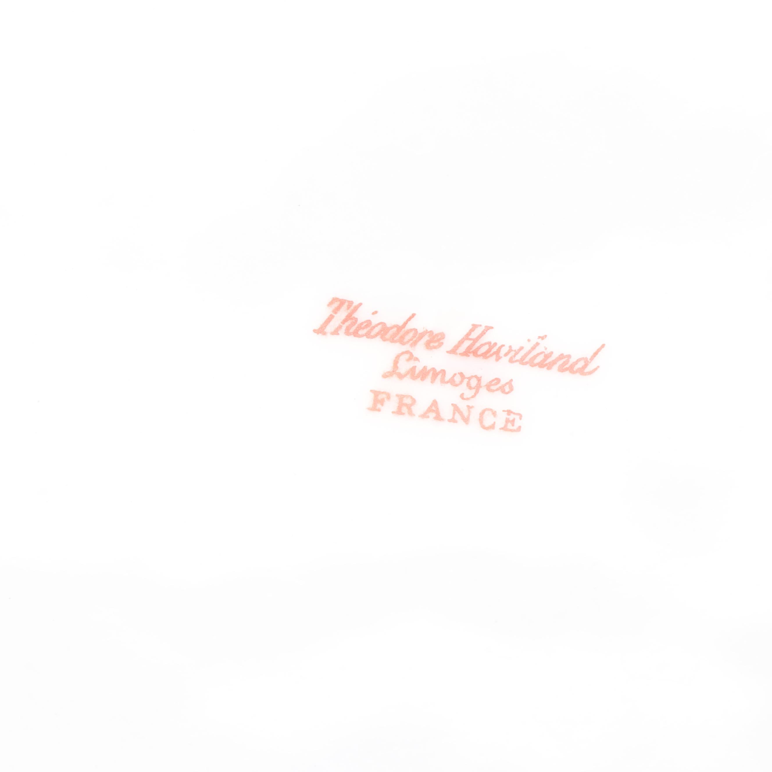 Haviland Limoges Porcelain Dinnerware