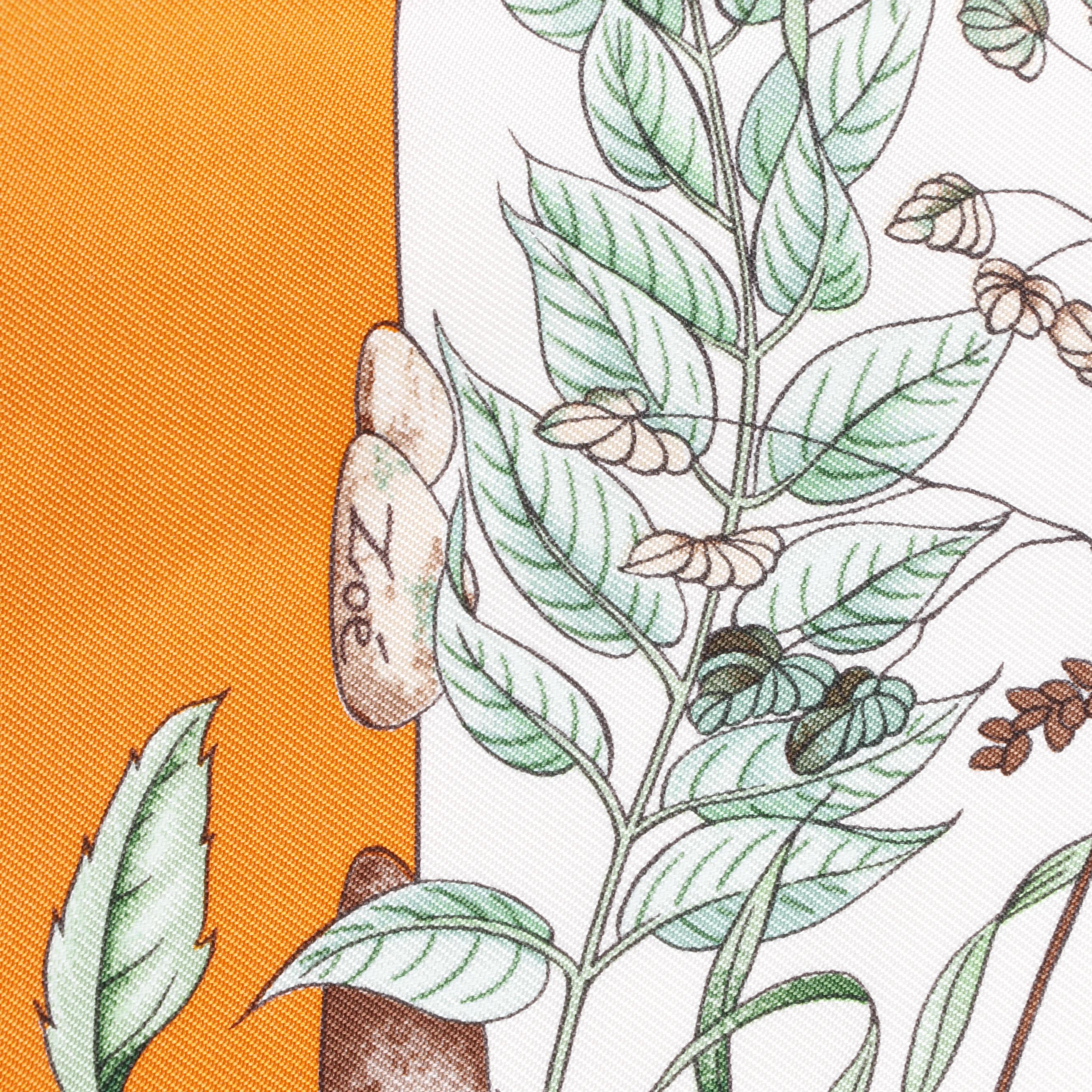 Hermès of Paris "Pythagore" Silk Scarf Designed by Zoé Pauwels