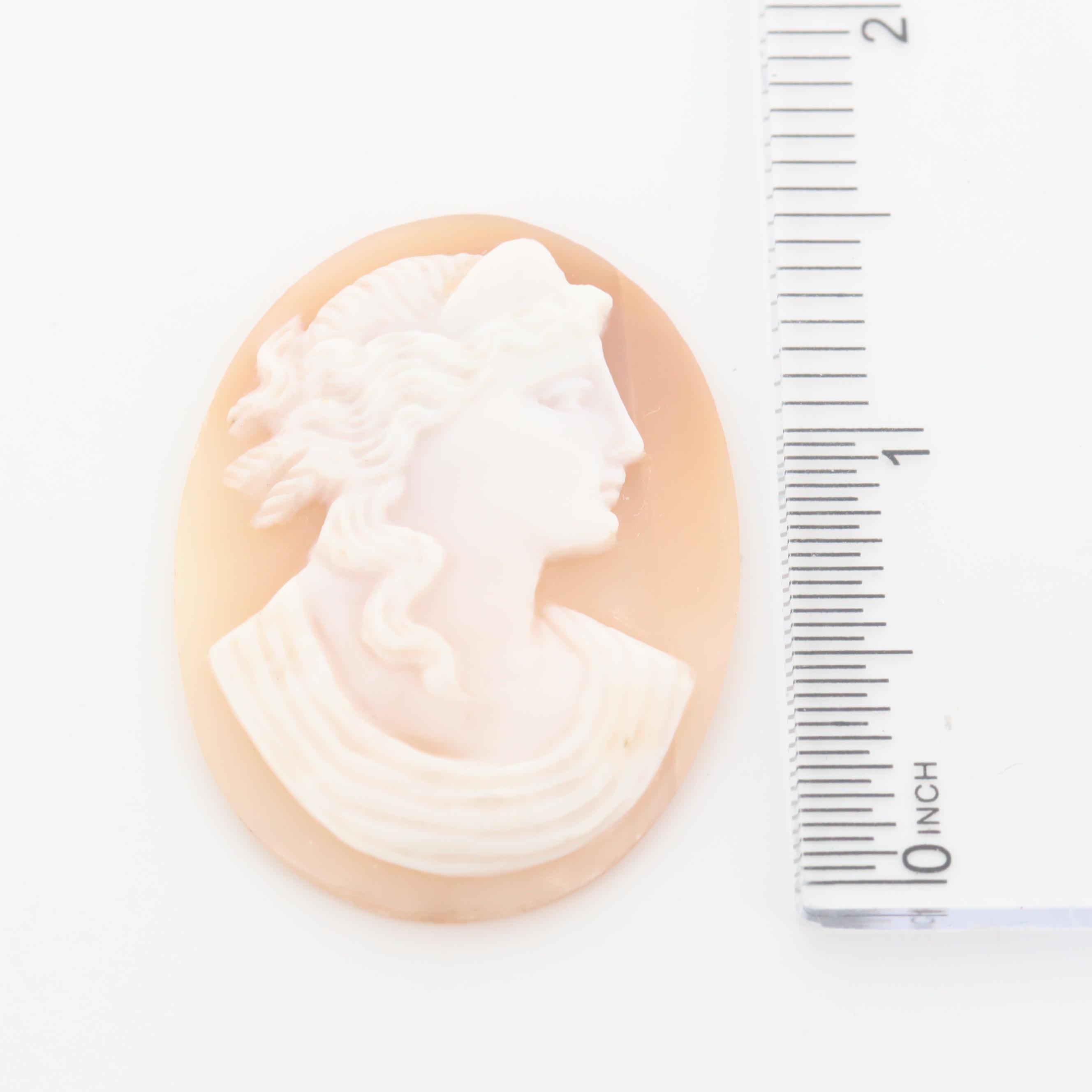 Loose Conch and Helmet Shell Cameo Assortment