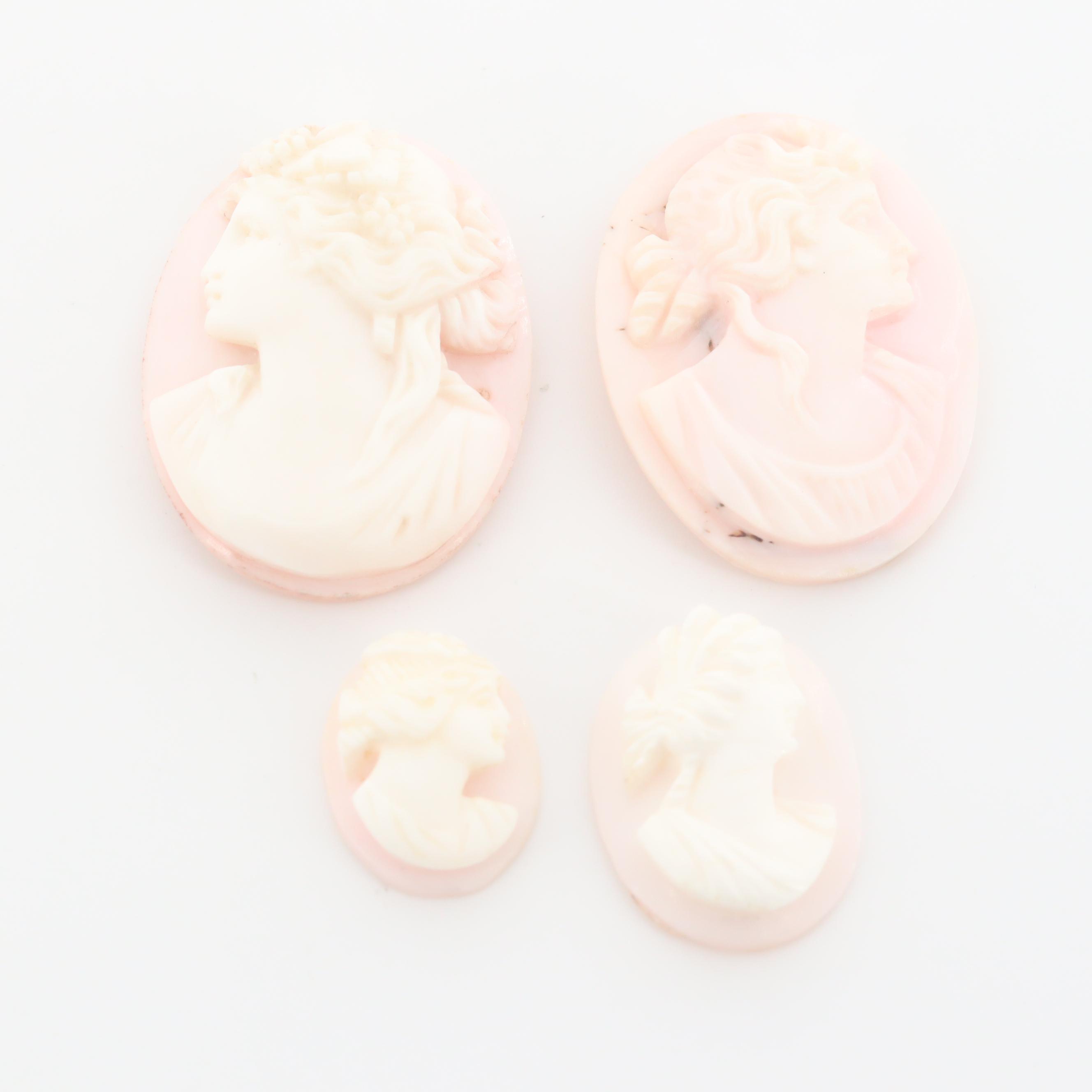 Loose Conch and Helmet Shell Cameo Assortment