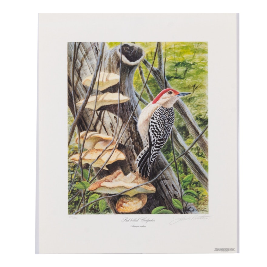 John Ruthven Offset Lithograph "Red-bellied Woodpecker"