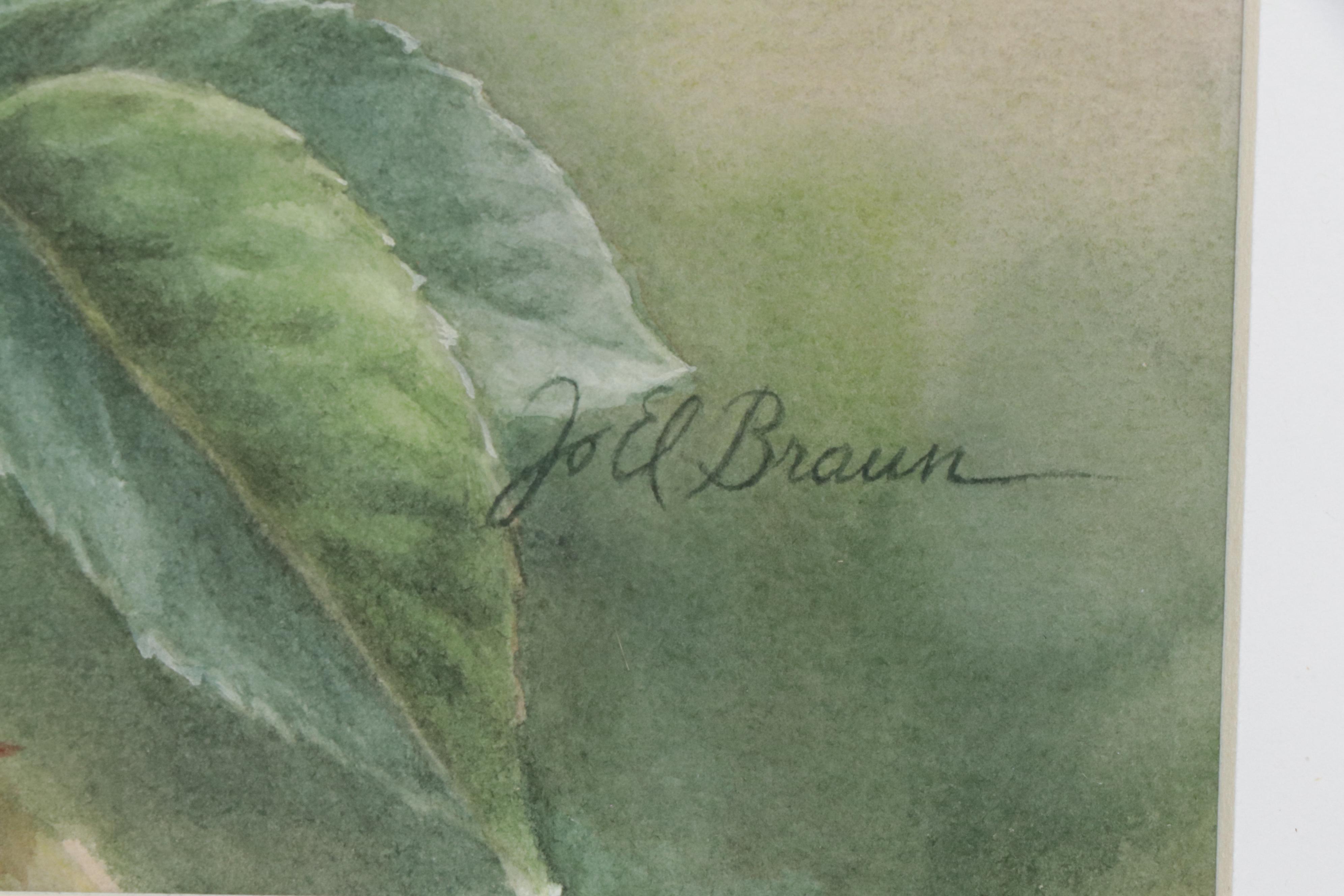 Elena M. Braun Watercolor Painting "Blanche Fleur, Centifolia, 1835, France"