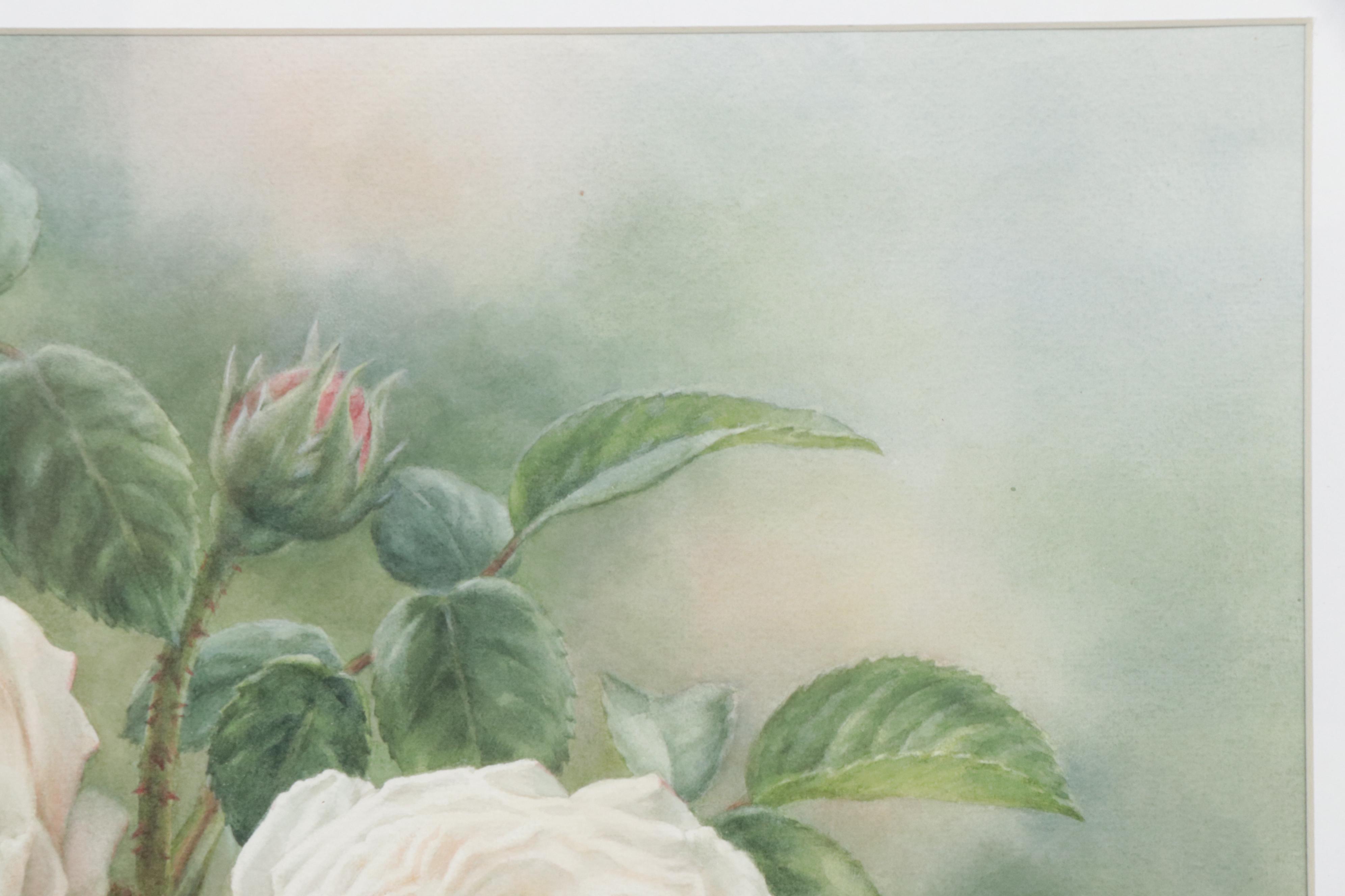 Elena M. Braun Watercolor Painting "Blanche Fleur, Centifolia, 1835, France"