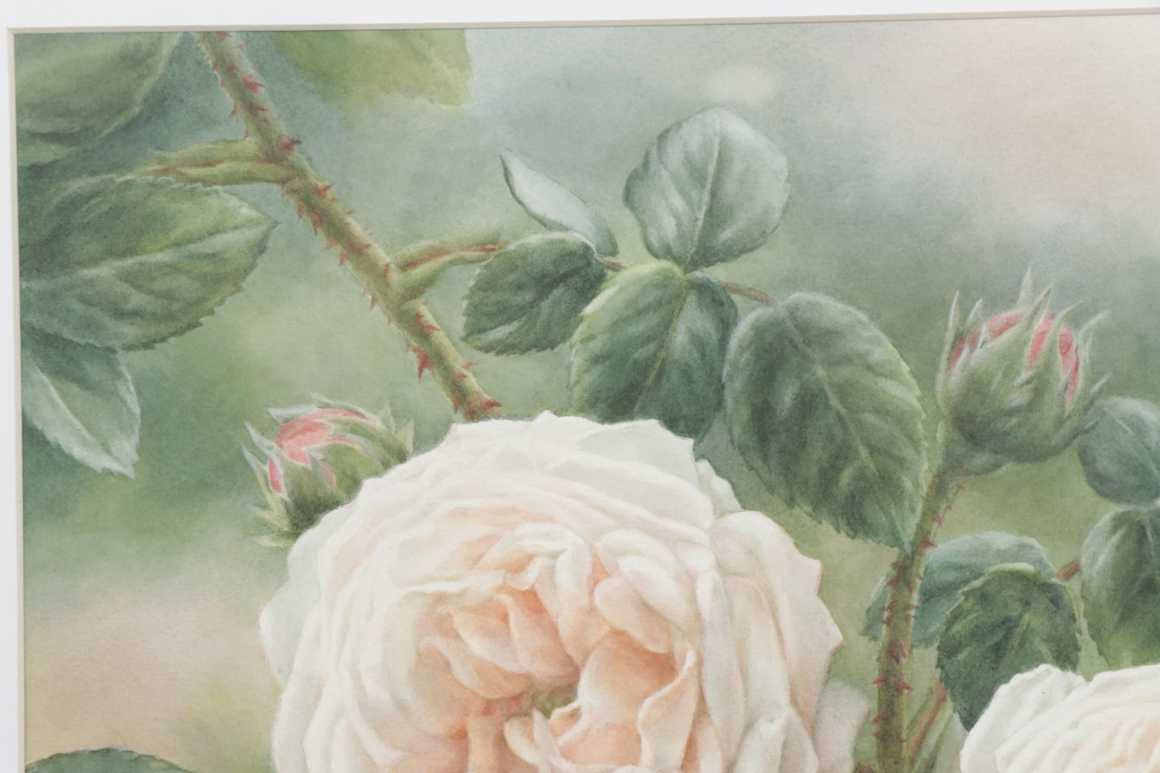 Elena M. Braun Watercolor Painting "Blanche Fleur, Centifolia, 1835, France"