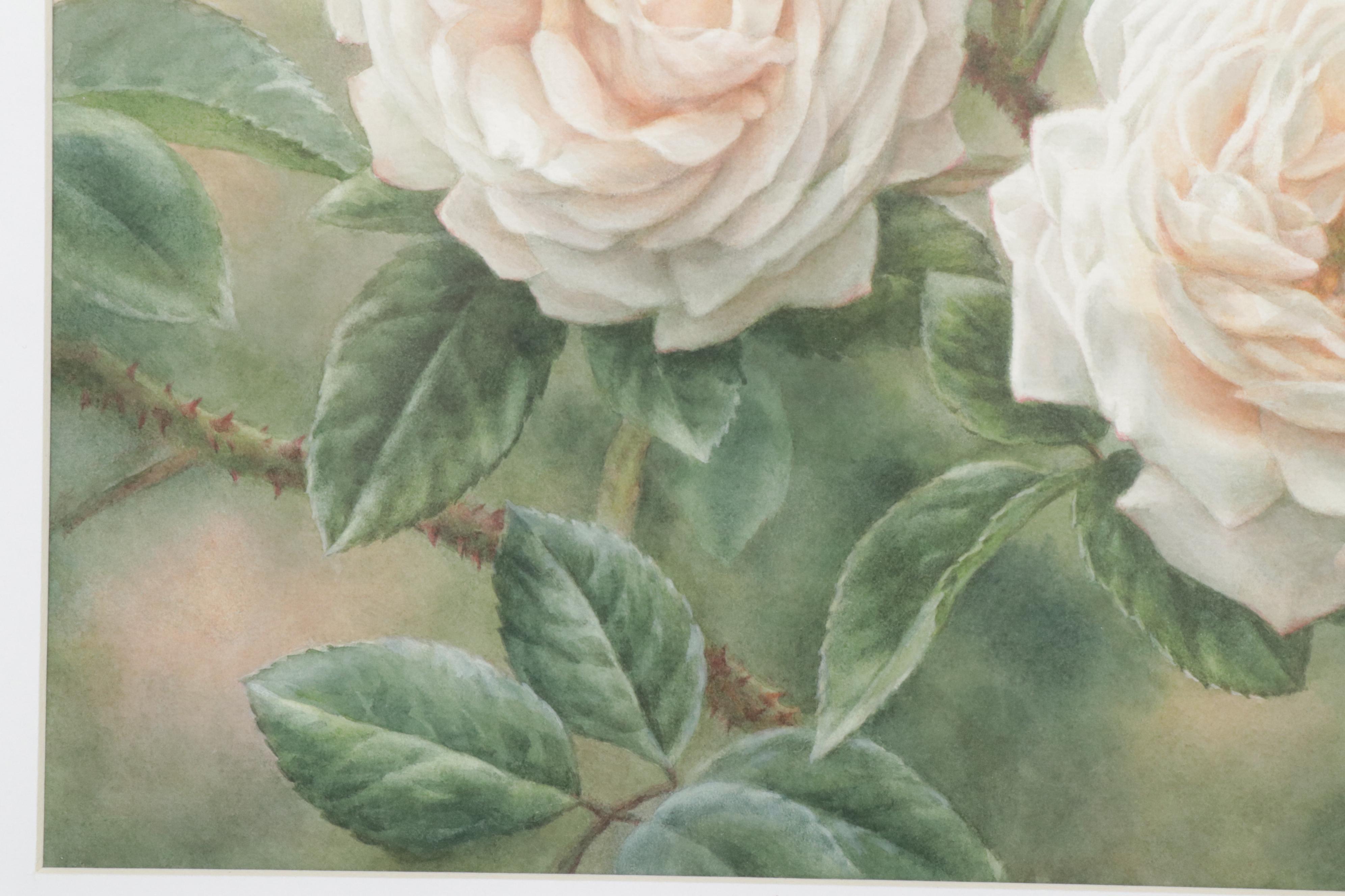 Elena M. Braun Watercolor Painting "Blanche Fleur, Centifolia, 1835, France"