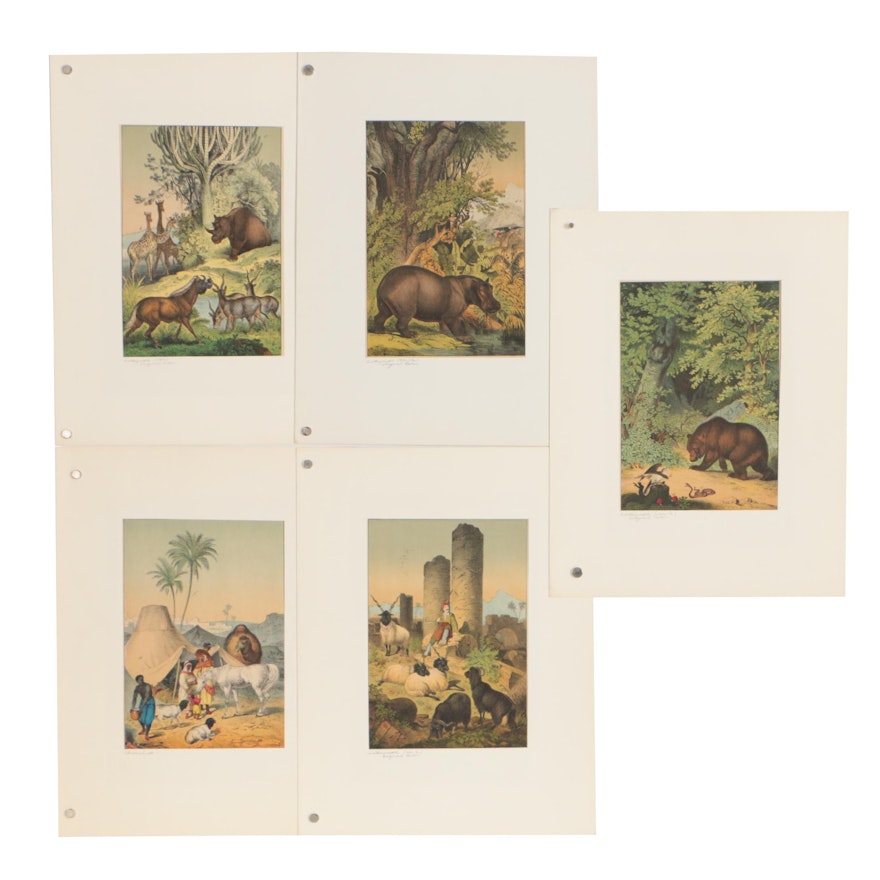 1872 Hand-Colored Lithographs from "The Instructive Picture Book"