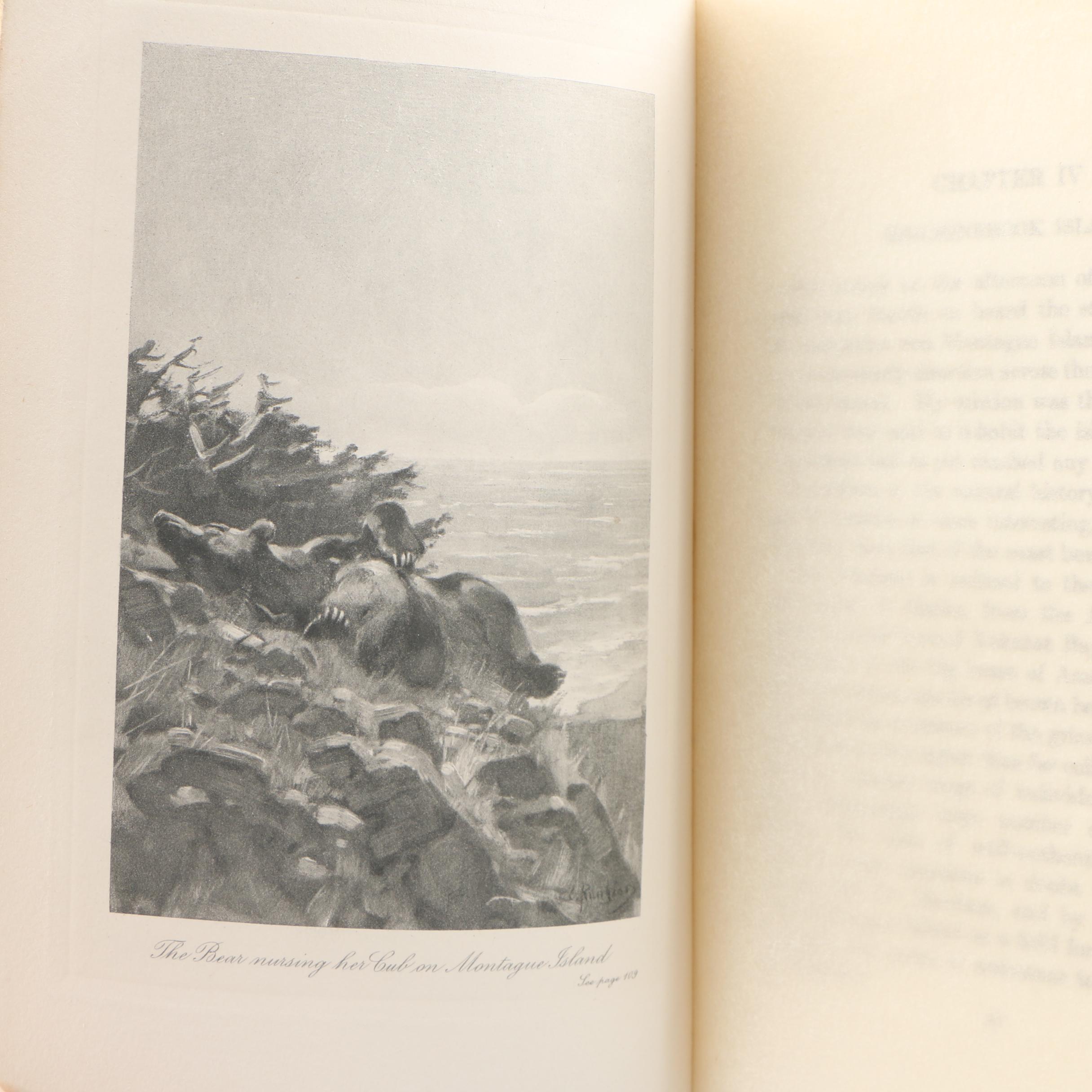 North America Hunting Featuring First Edition "American Wild-fowl Shooting"