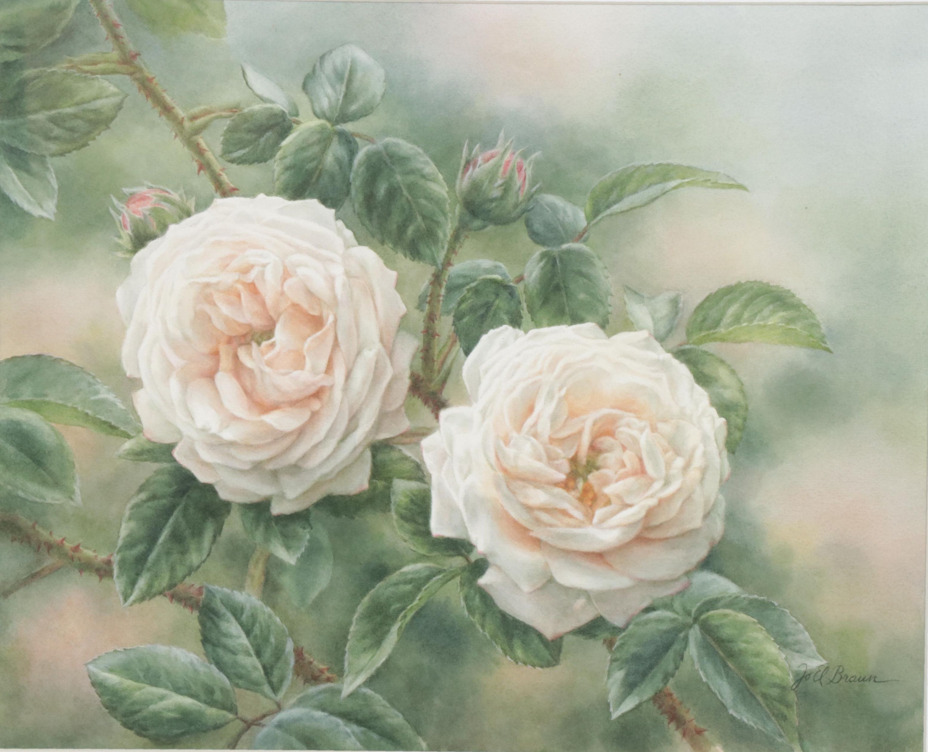 Elena M. Braun Watercolor Painting "Blanche Fleur, Centifolia, 1835, France"