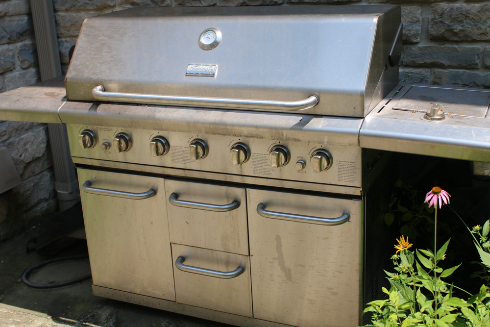 Kenmore Elite Gas Grill