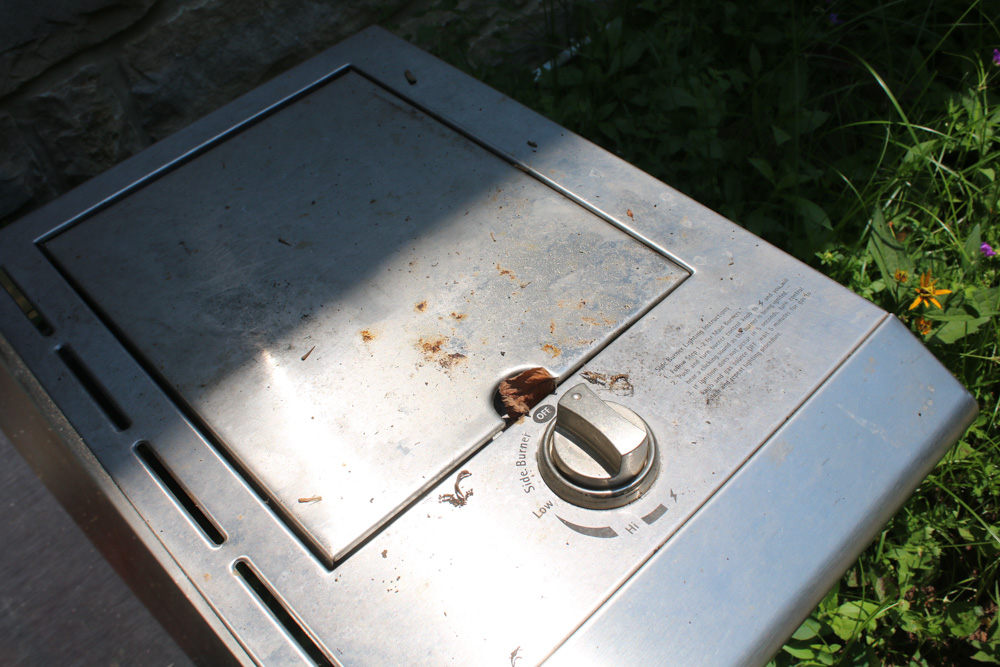 Kenmore Elite Gas Grill