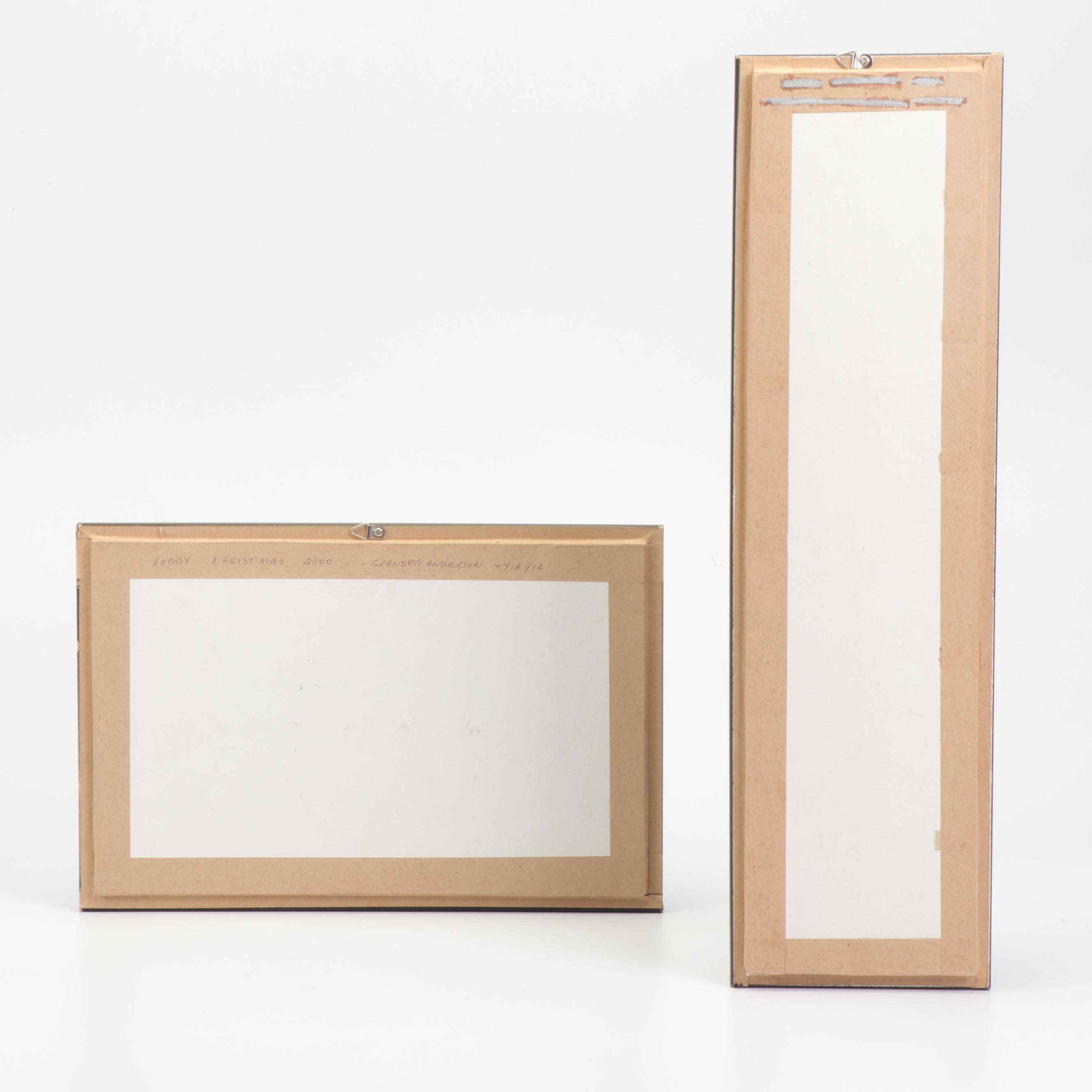 Mounted and Framed Butterfly Collection