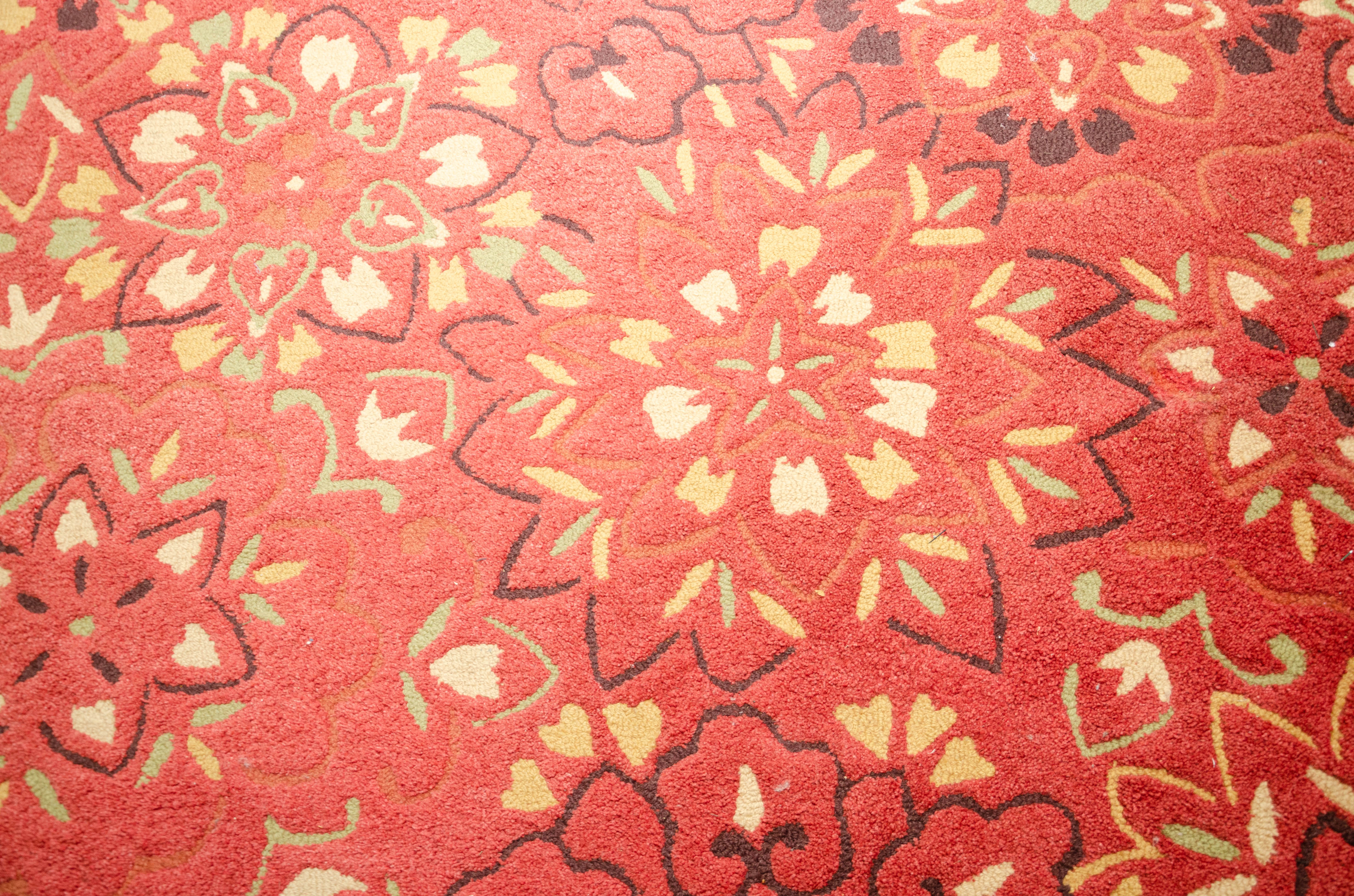 Tufted Pier 1 Imports "Estrella Flor" Indian Wool Area Rug