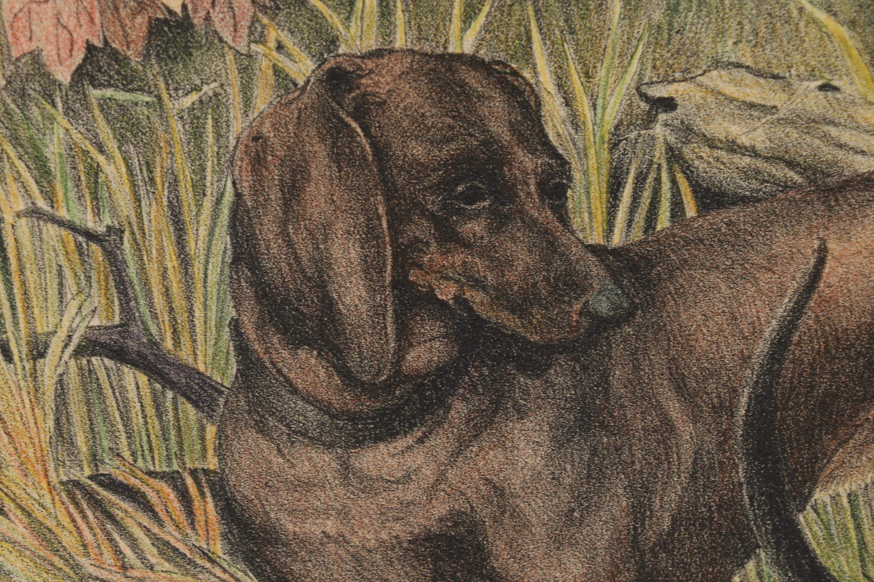 Victor G. Becker 1931-1932 Lithographs of Pets