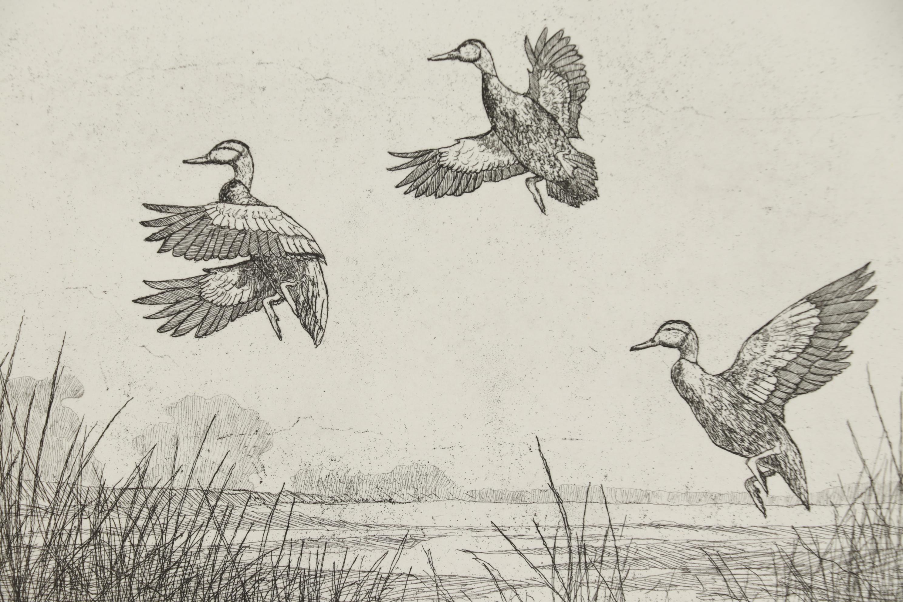 John Collette Etching "Black Ducks"