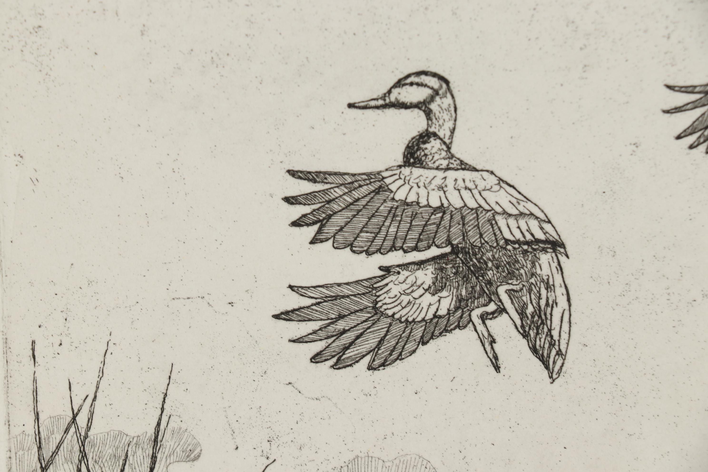 John Collette Etching "Black Ducks"