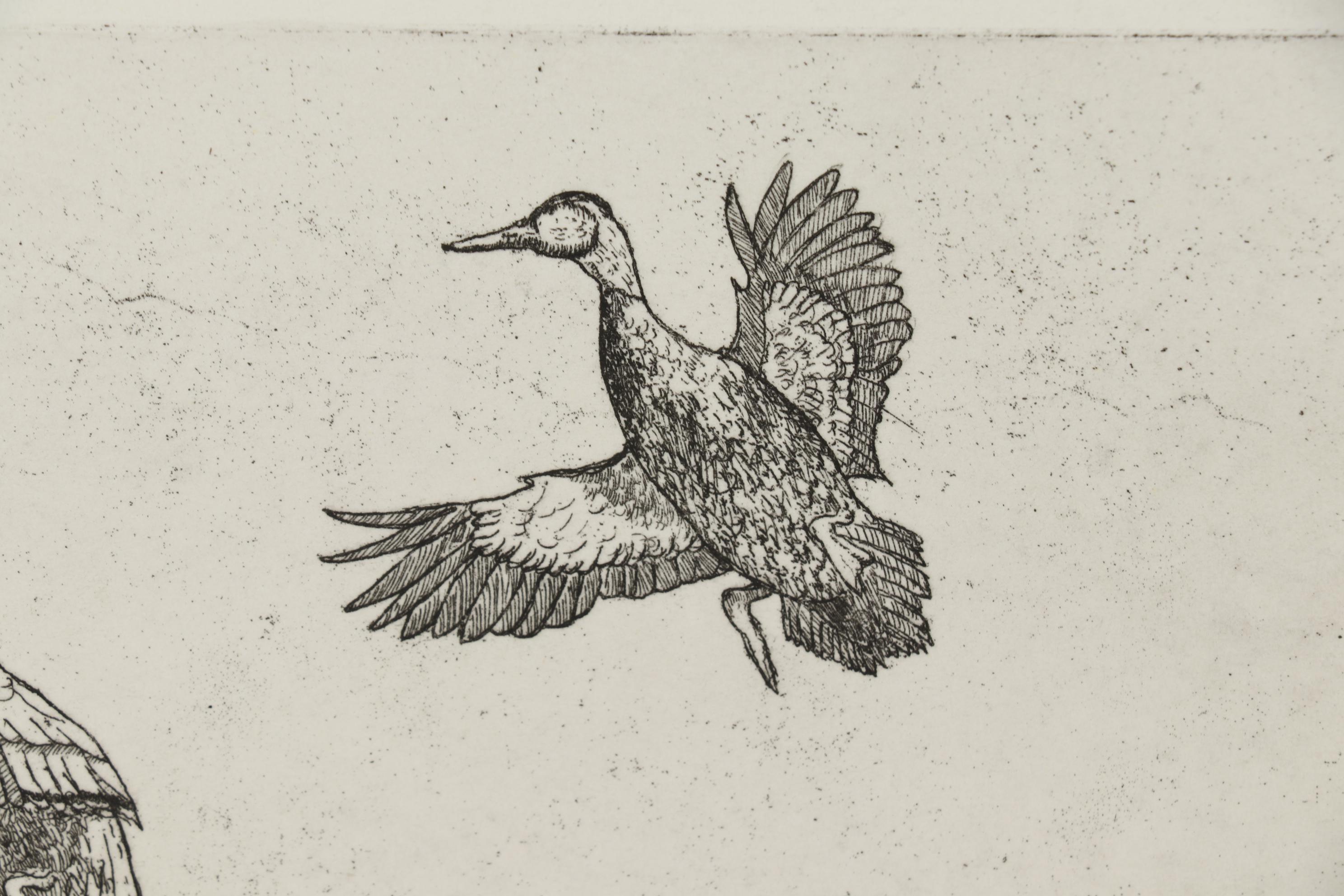 John Collette Etching "Black Ducks"