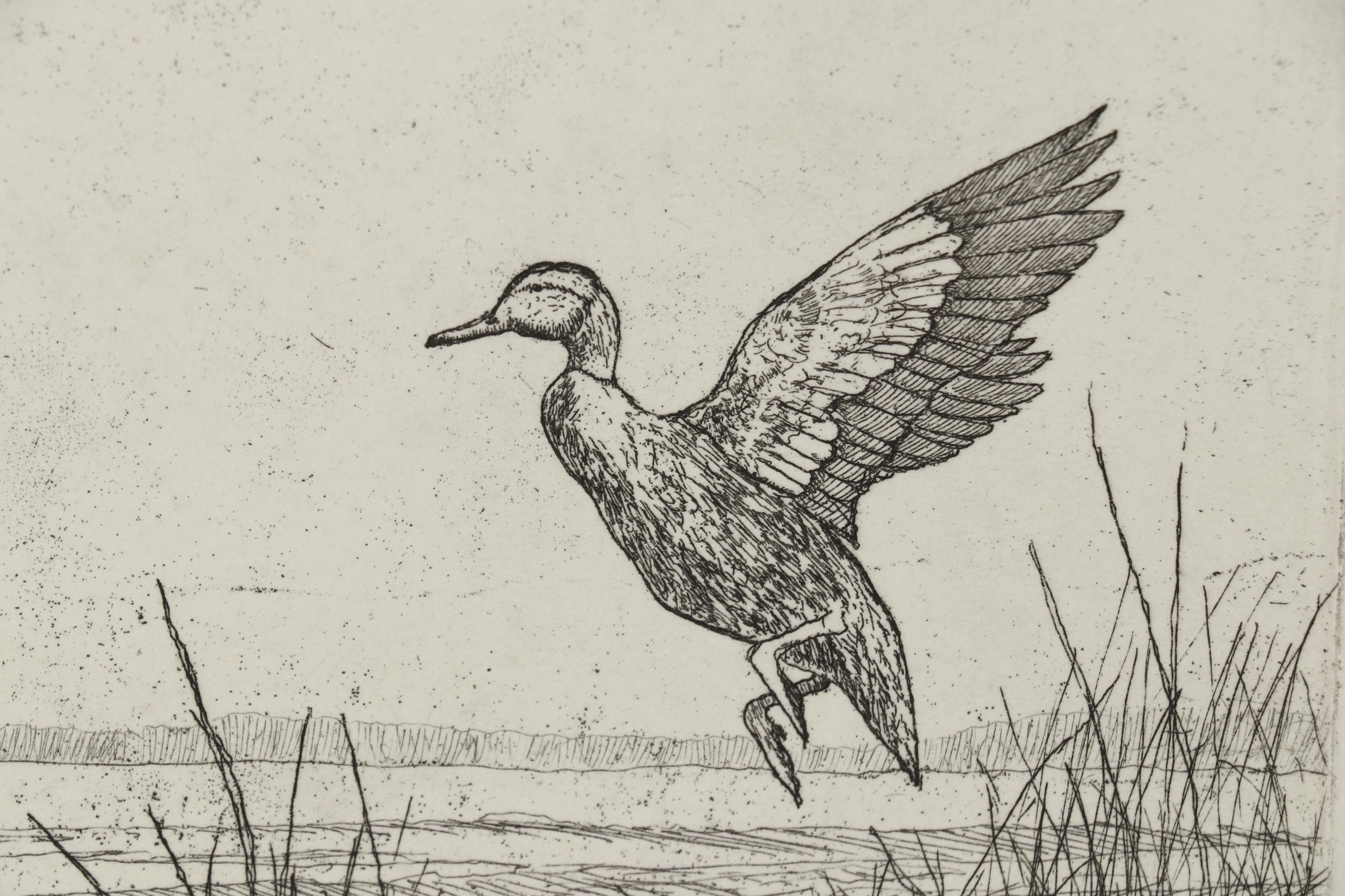 John Collette Etching "Black Ducks"