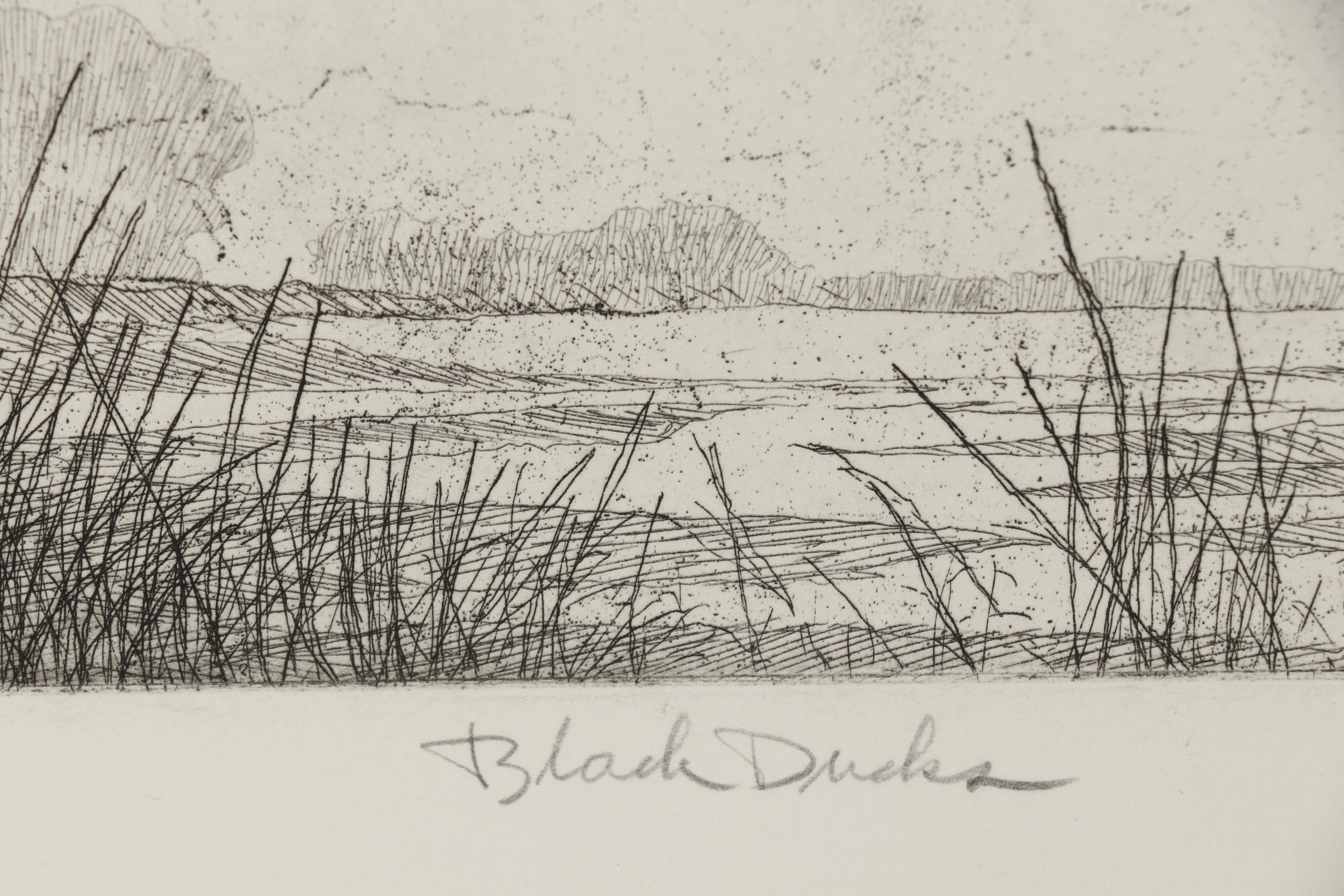 John Collette Etching "Black Ducks"