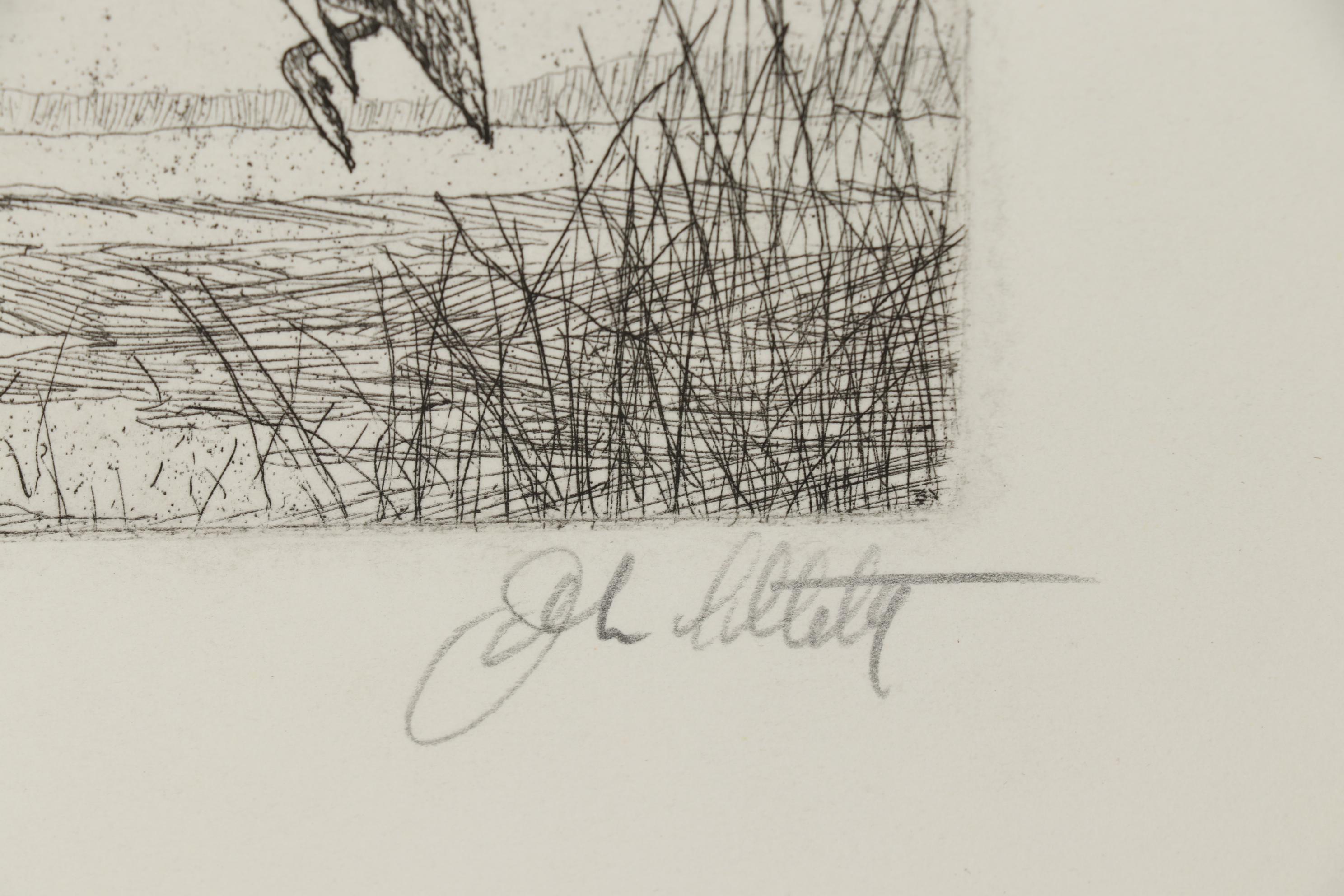 John Collette Etching "Black Ducks"