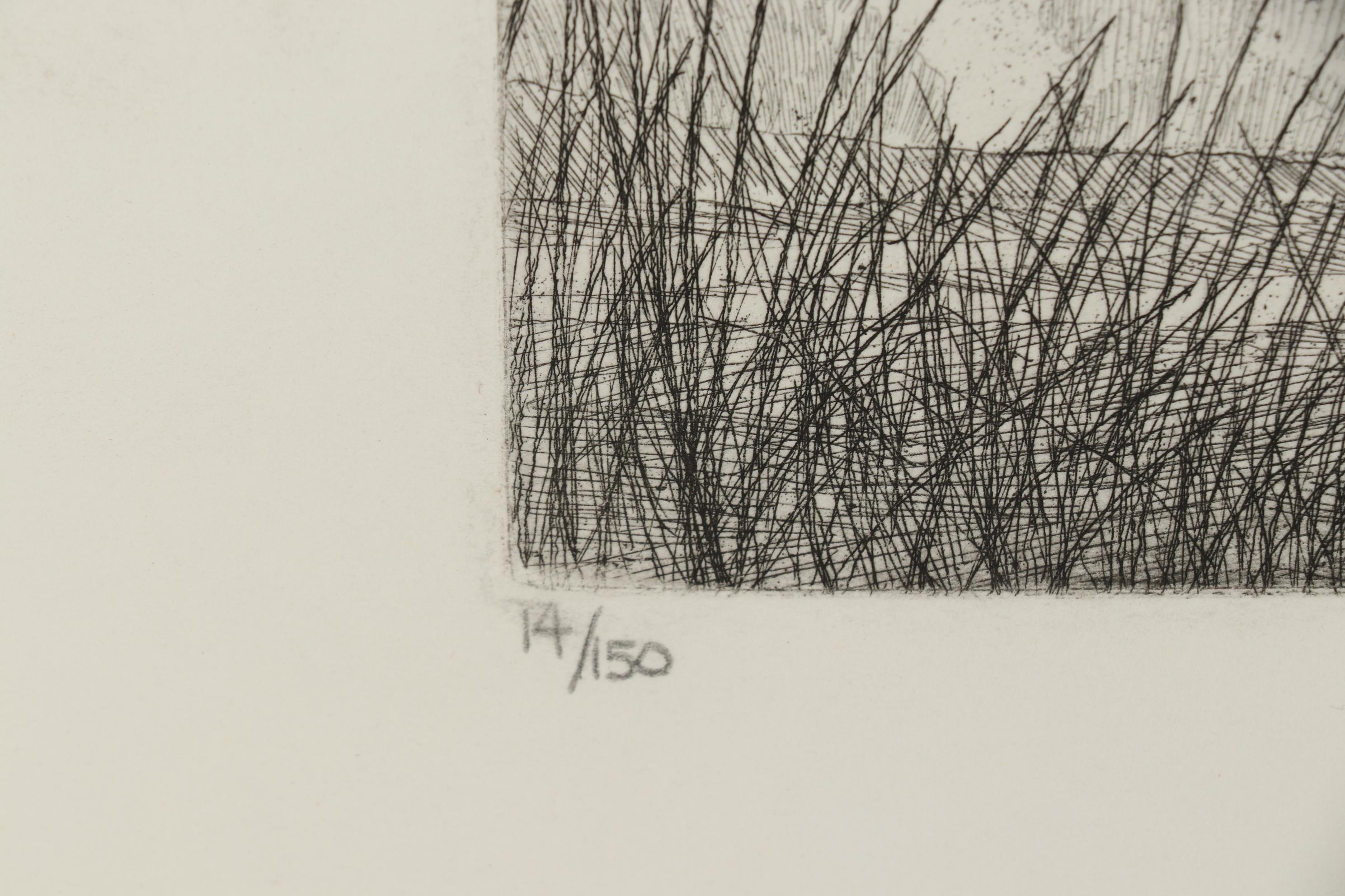 John Collette Etching "Black Ducks"